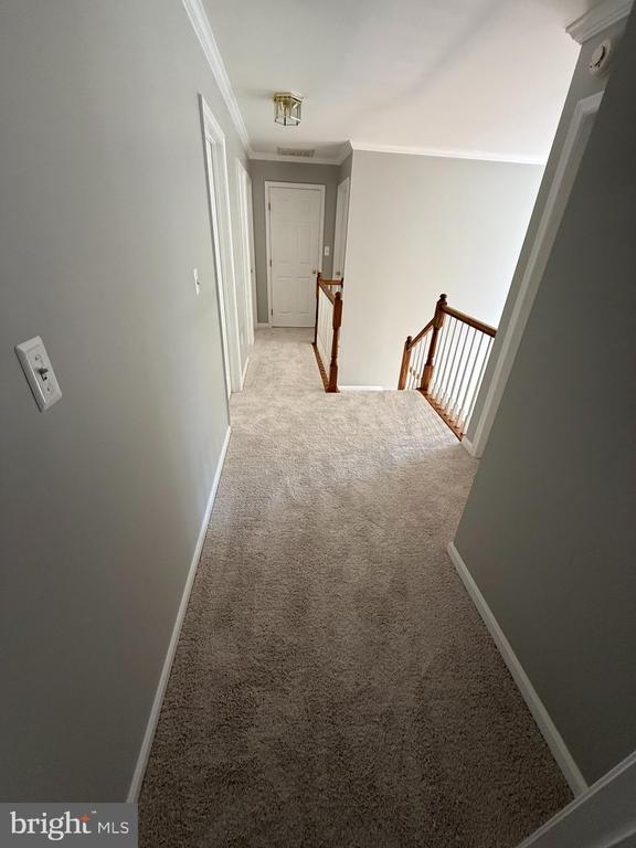 6 Oxen Ct