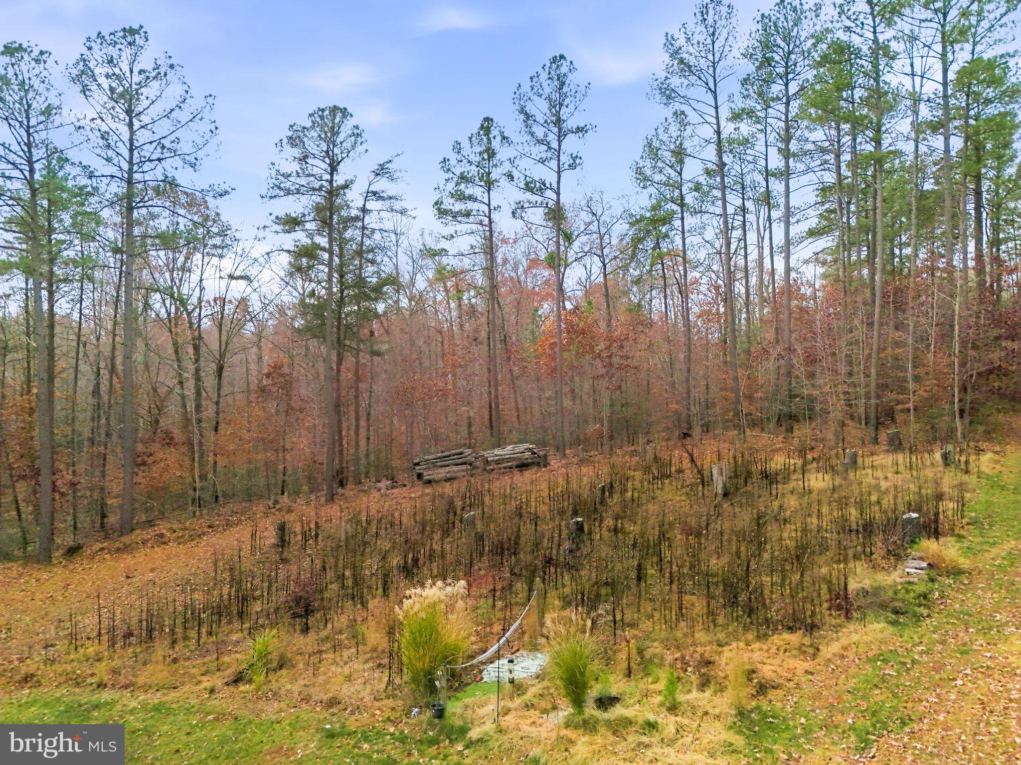 51 SERENE HILLS DRIVE