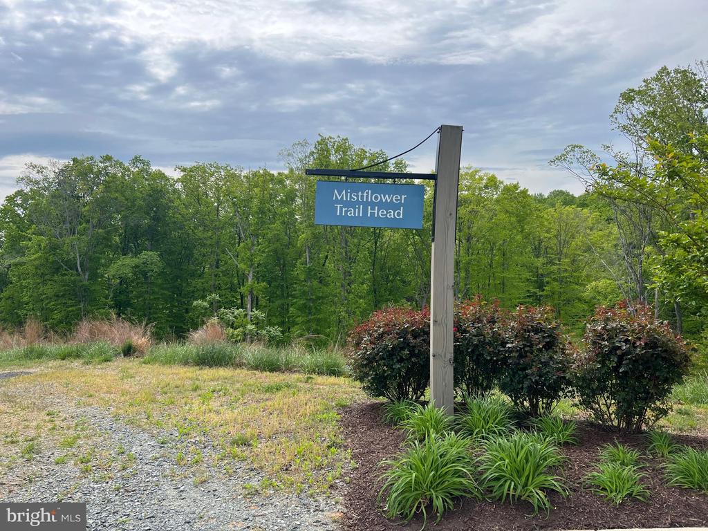 164 MISTFLOWER COURT