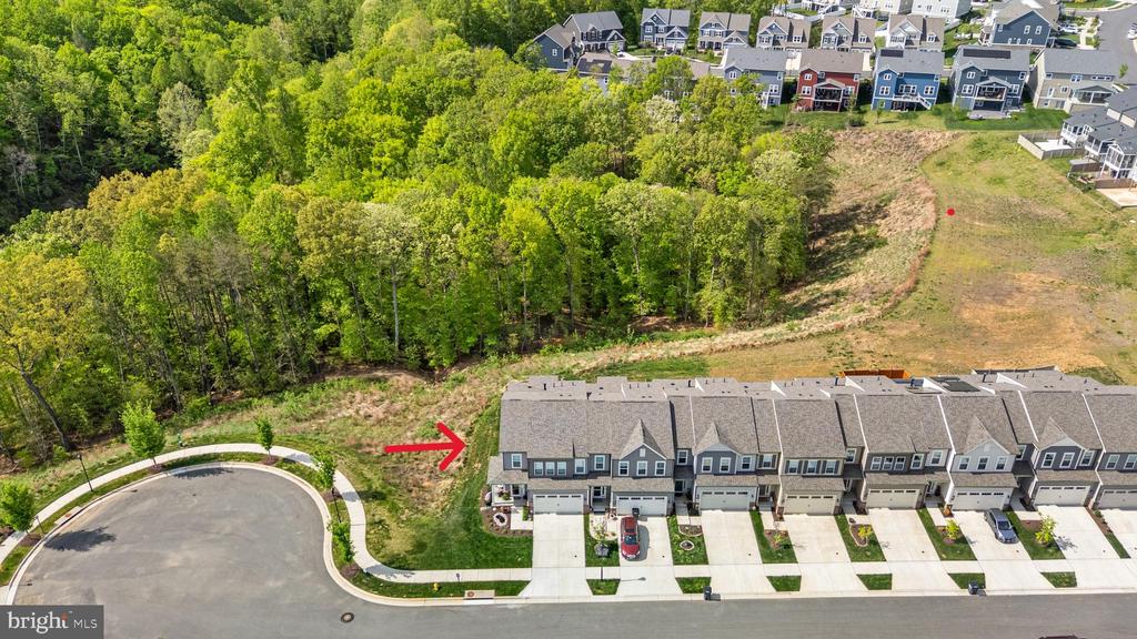 164 MISTFLOWER COURT