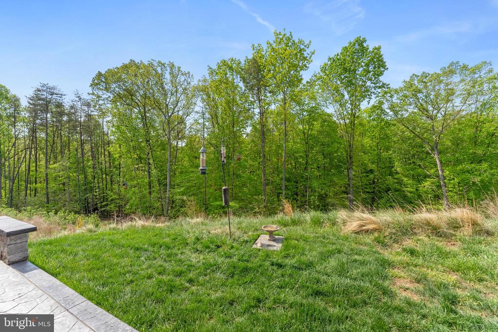 164 MISTFLOWER COURT
