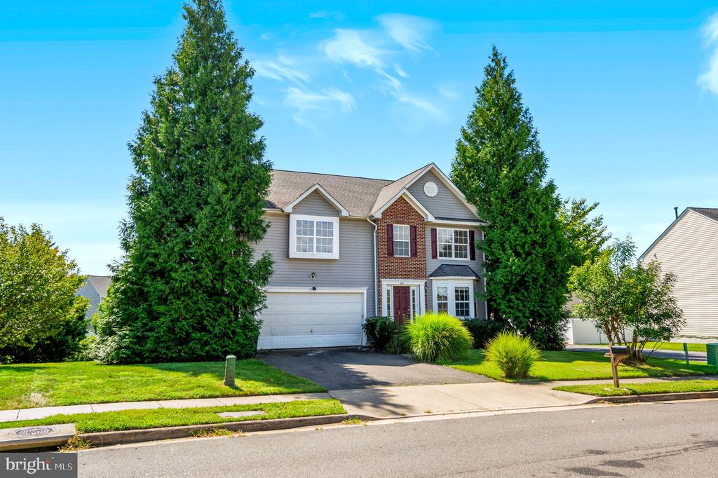 45 STANLEY LOOP