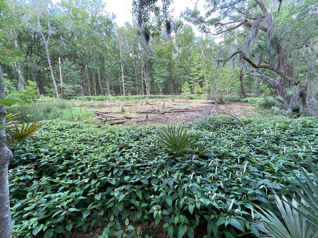 15 A Beagle Club Road Lot 15