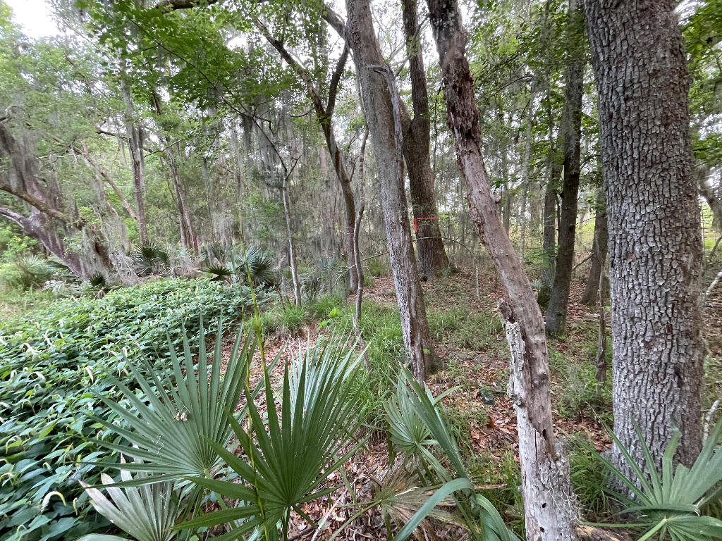 15 A Beagle Club Road Lot 15