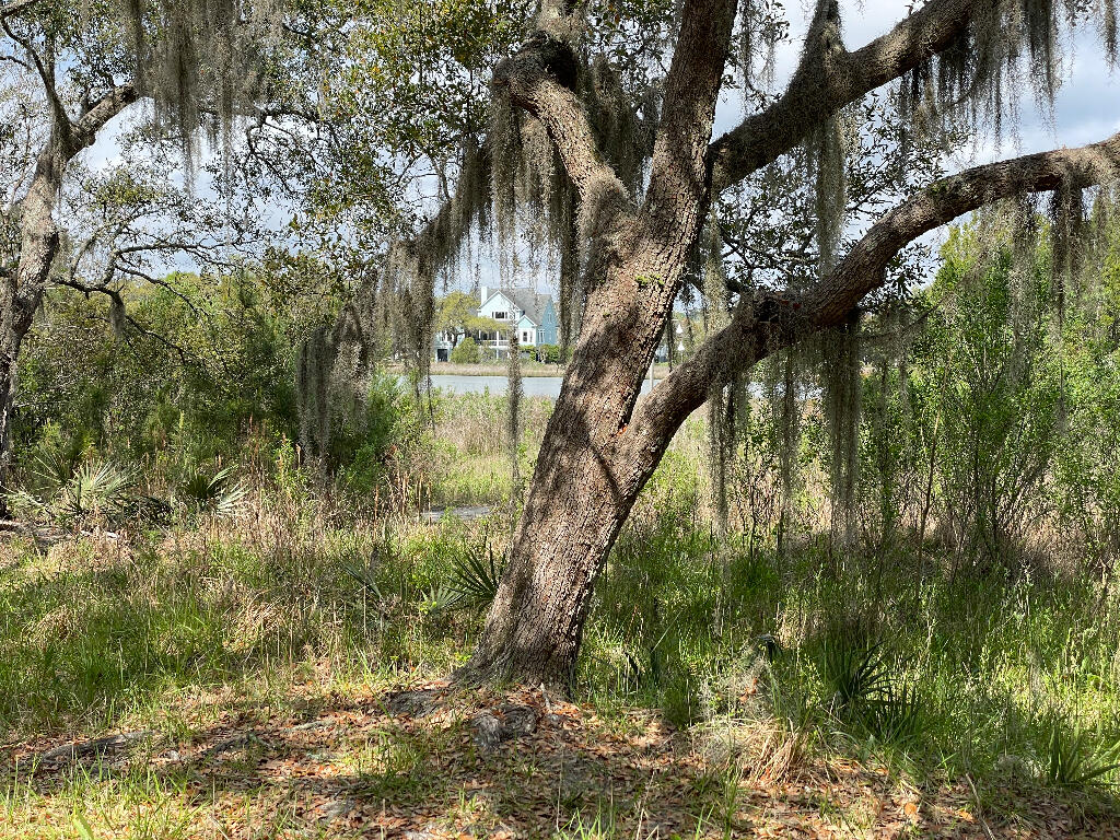 15 A Beagle Club Road Lot 15