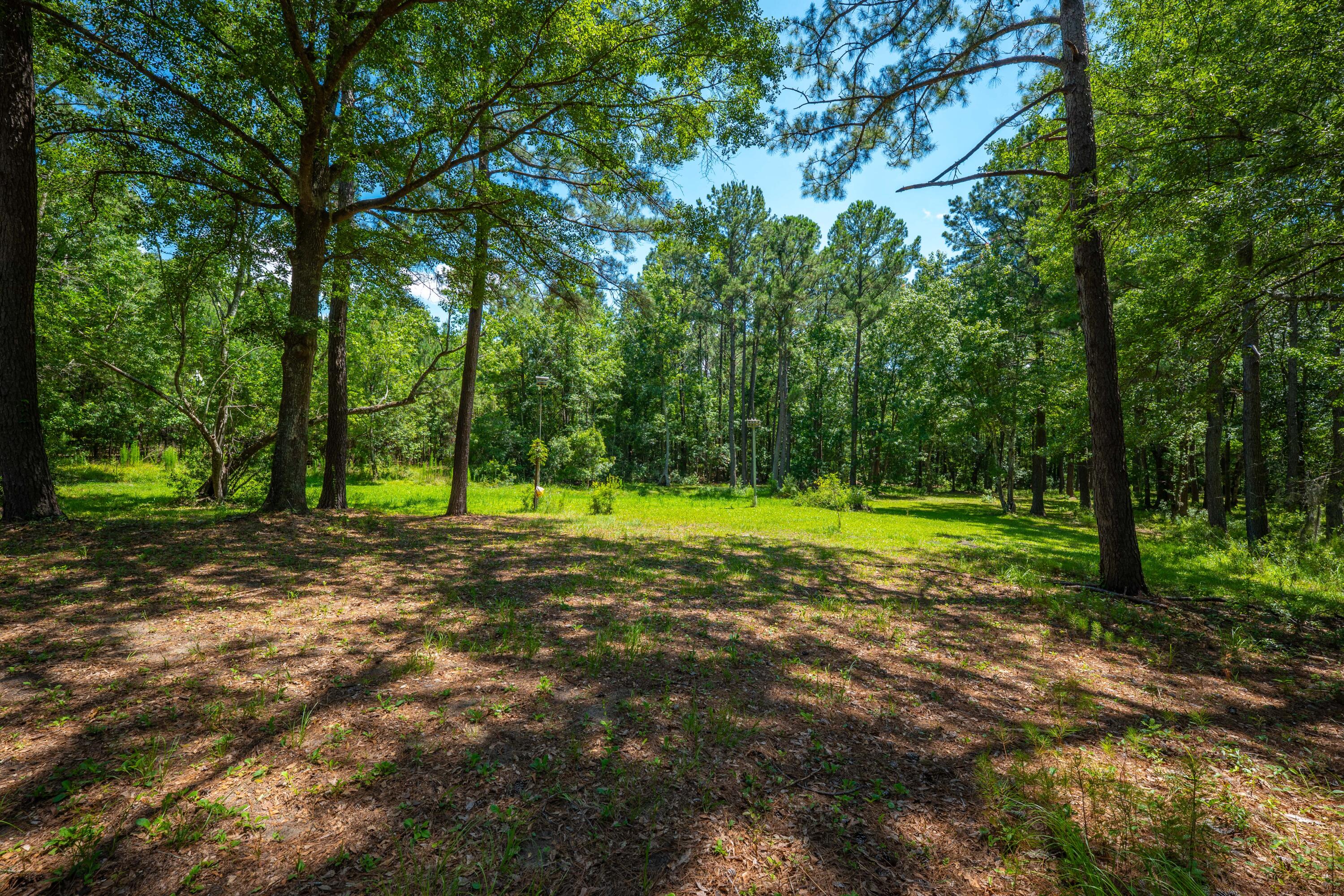 6385 Shilelagh Oaks Parkway