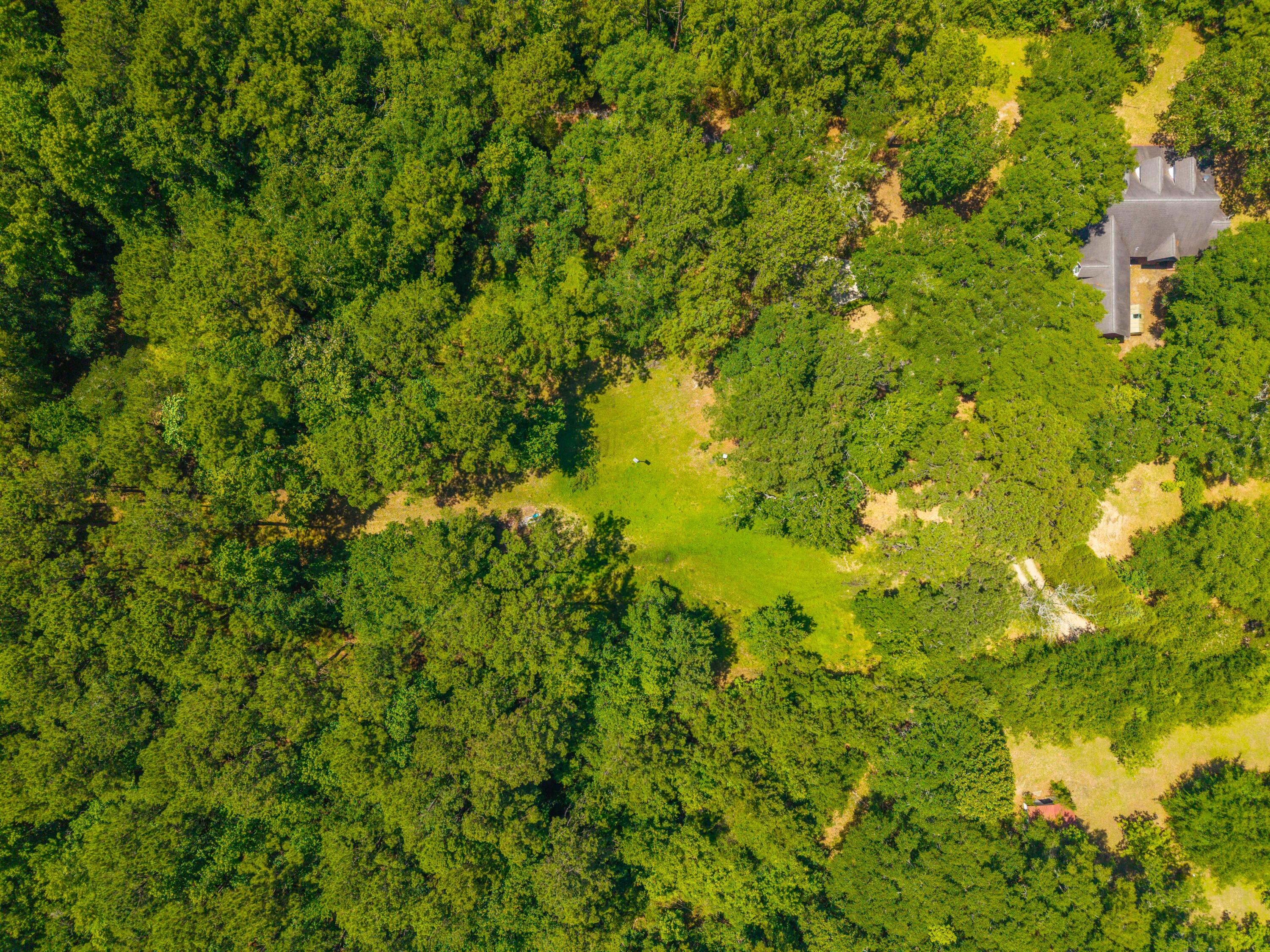 6385 Shilelagh Oaks Parkway