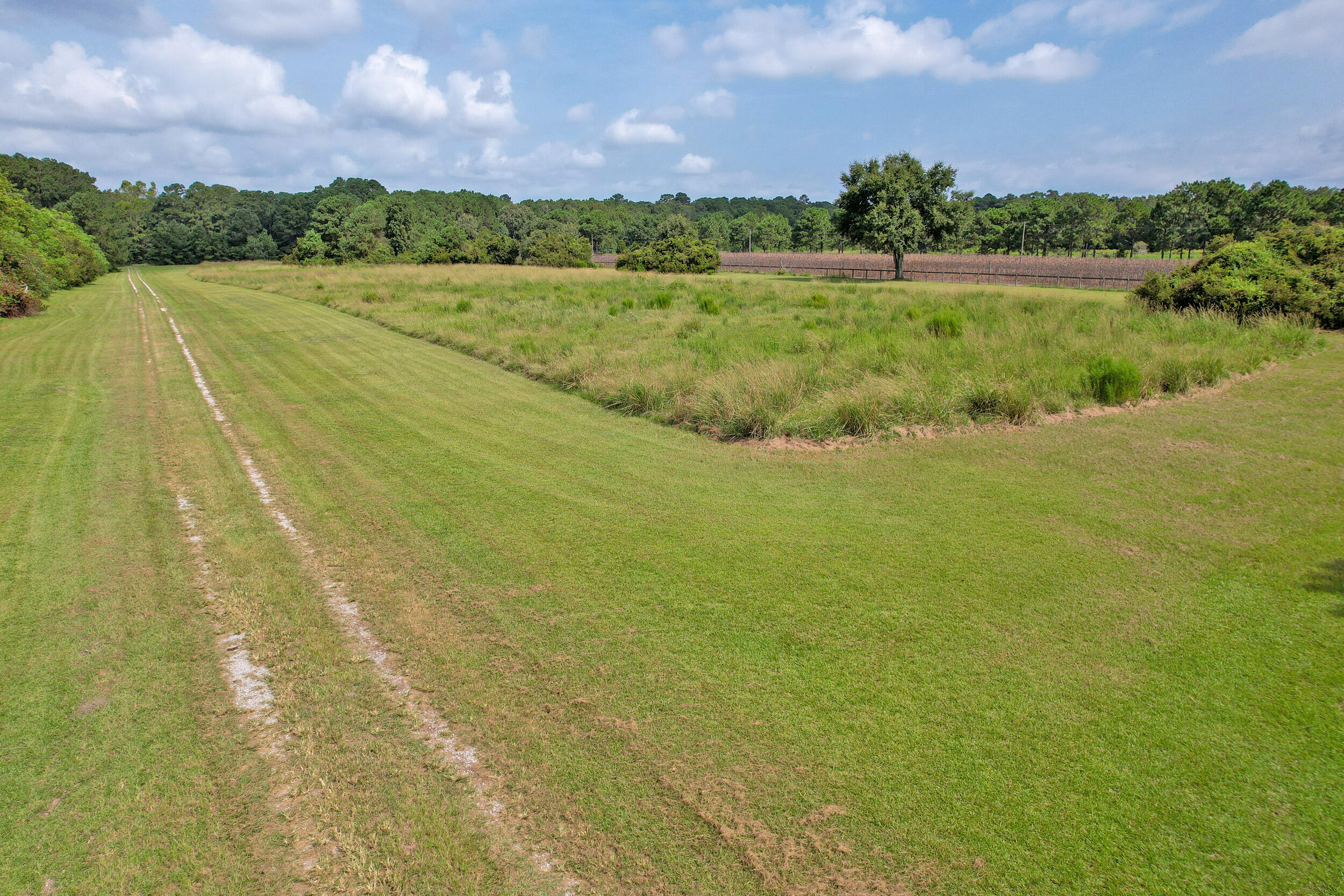 Grassy vacant land with a mowed two-track path, fenced field, and distant tree line.