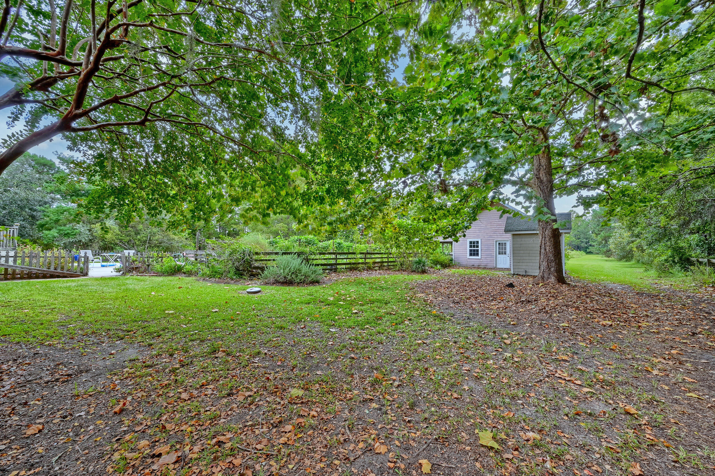 Leafy backyard with a large shade tree, small outbuilding, lawn, and a glimpse of the pool.