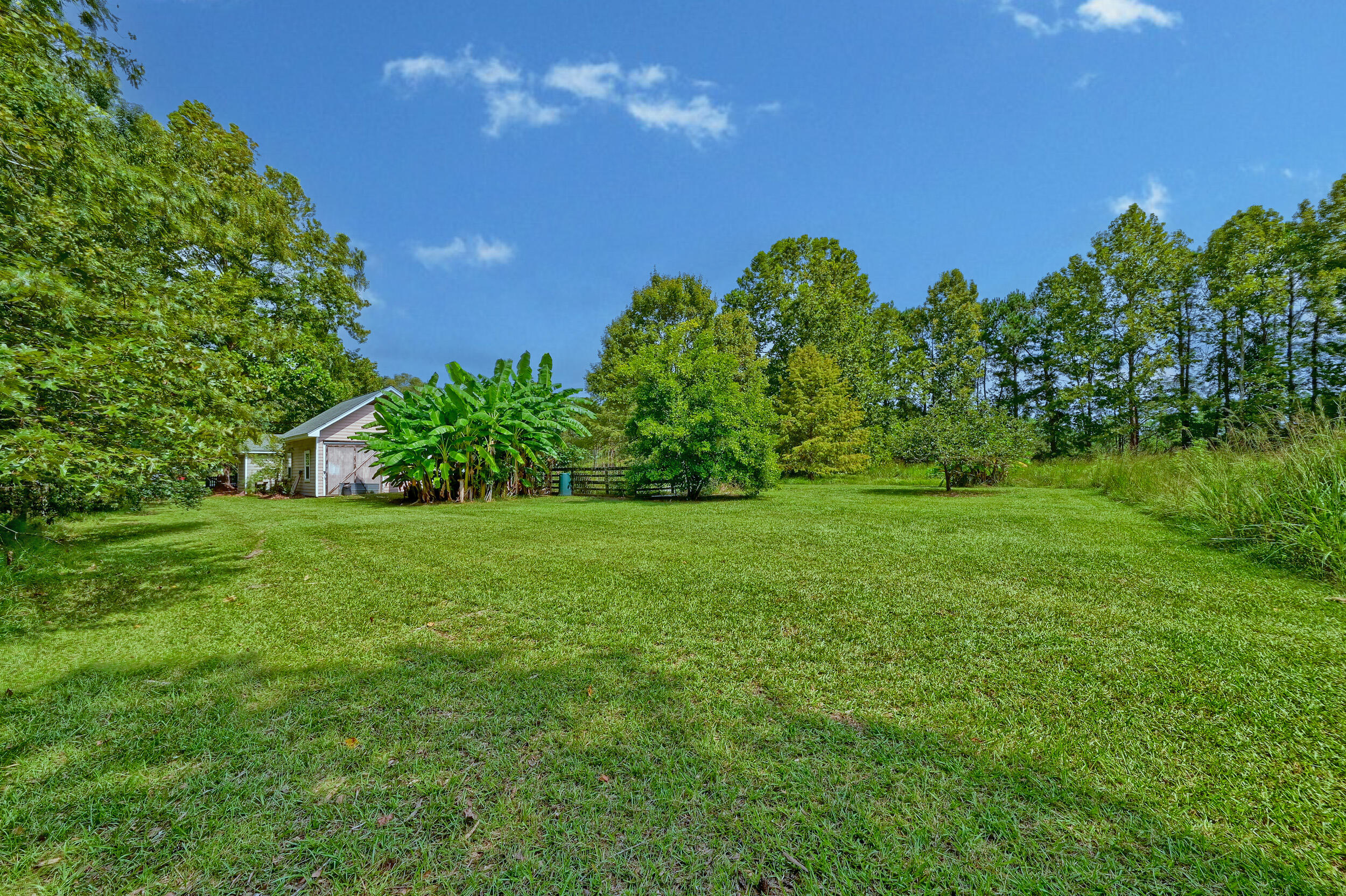 Expansive grassy yard with a small outbuilding, banana plants, and mature trees.