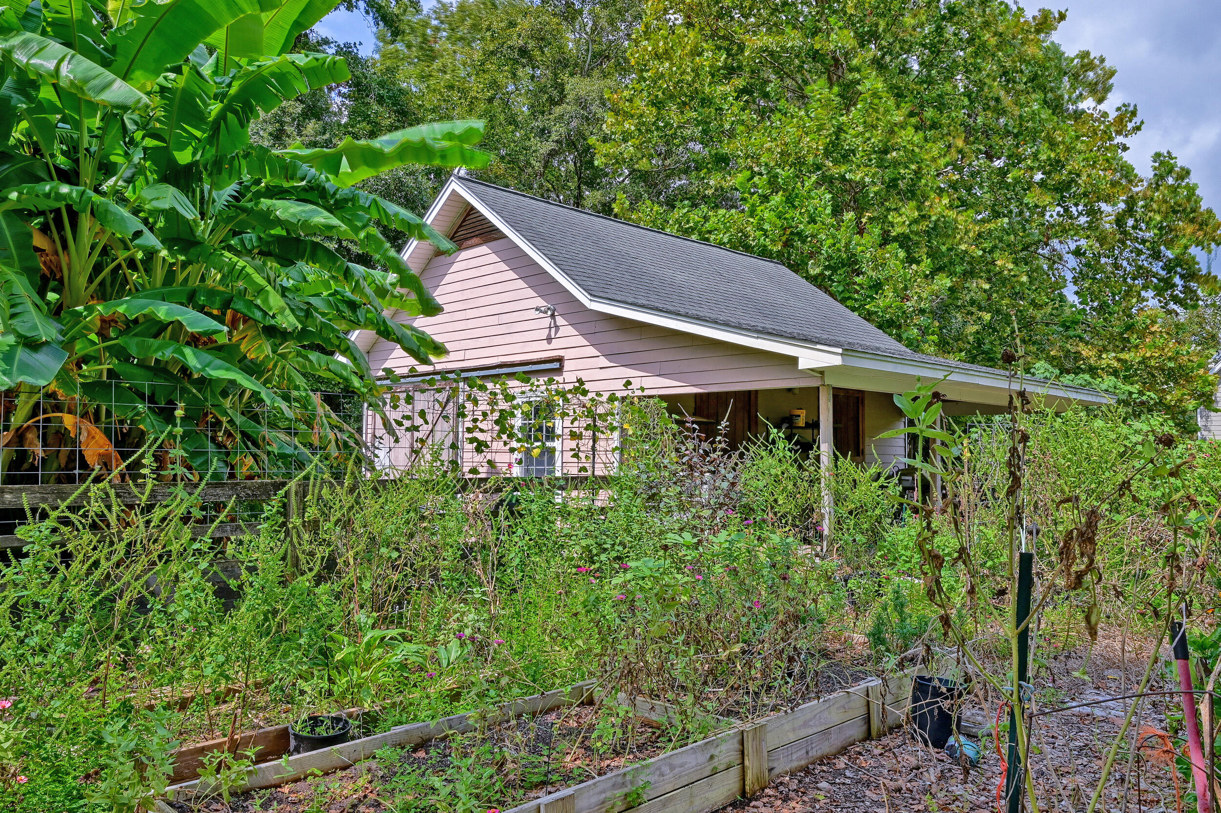 Pink house with a dark gabled roof behind banana plants and a lush raised garden.