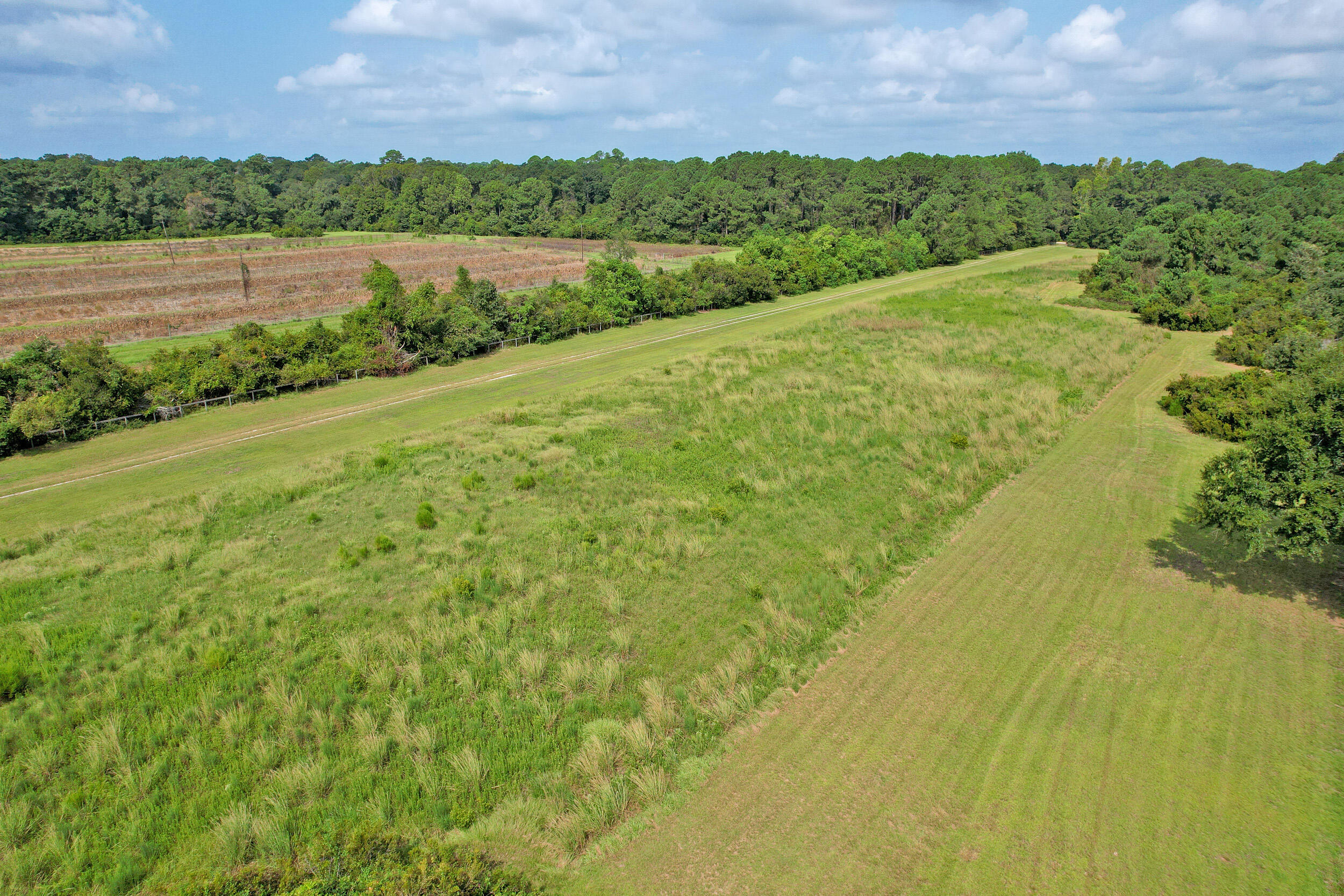 Aerial view of grassy acreage with mown tracks and bordering woodland.