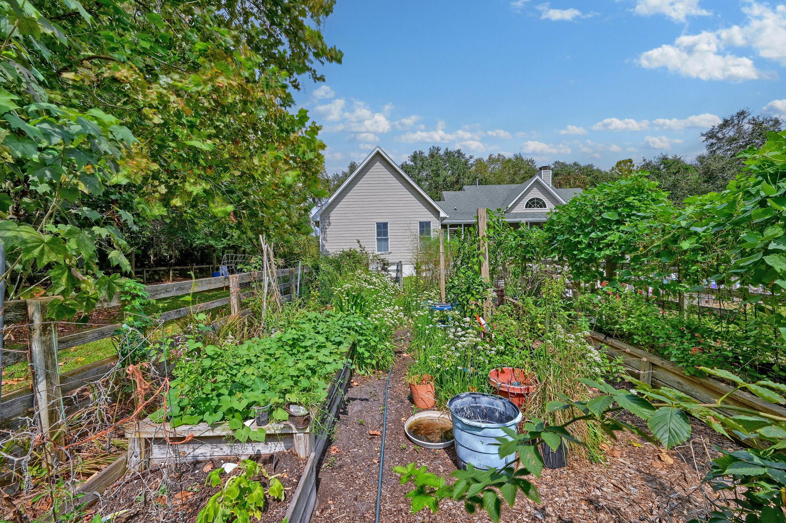Vegetable garden with raised beds and trellises in front of a gray-sided house.