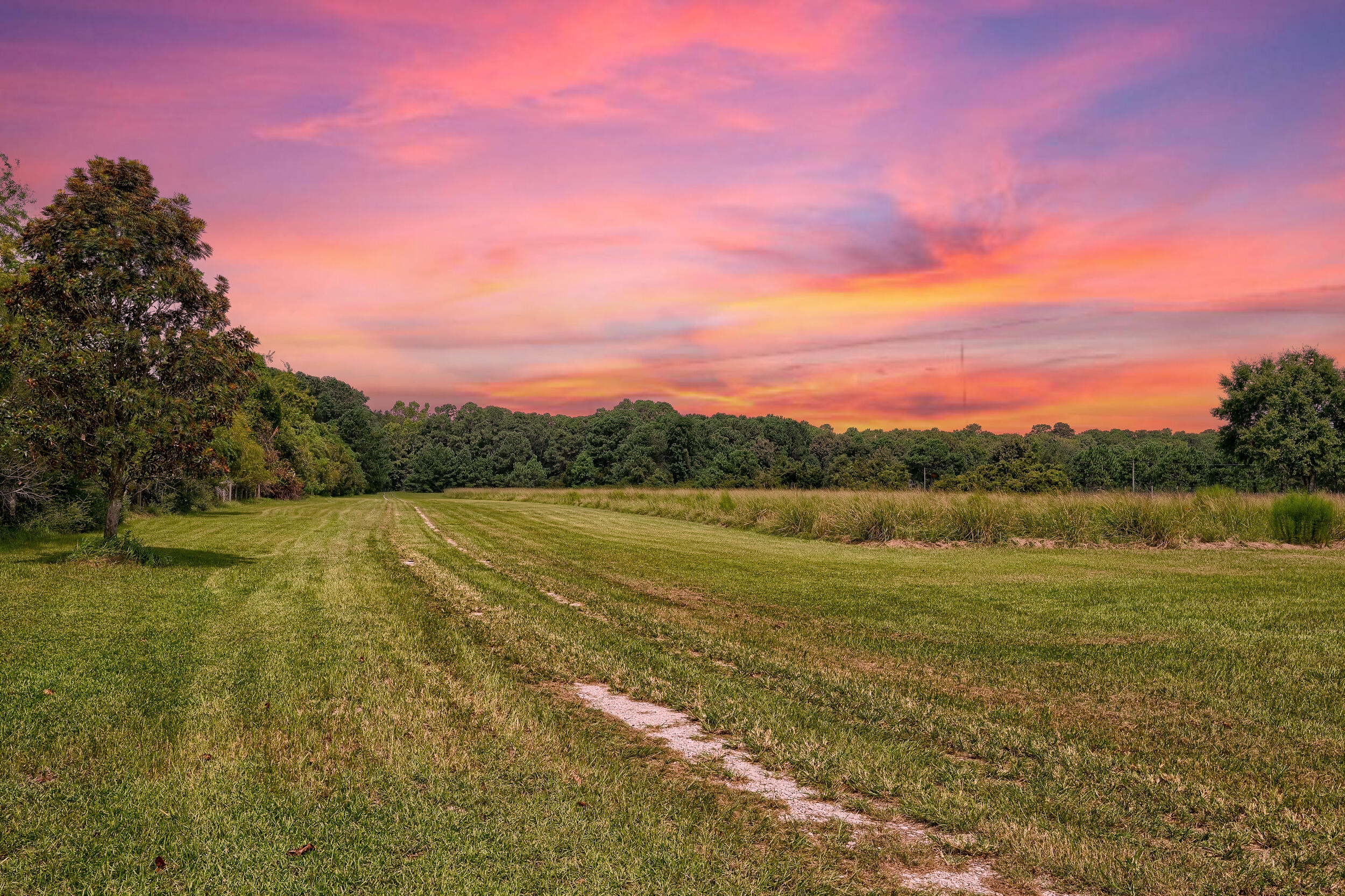 Grassy property clearing with a mowed track and tree line beneath a vivid pink sunset sky.