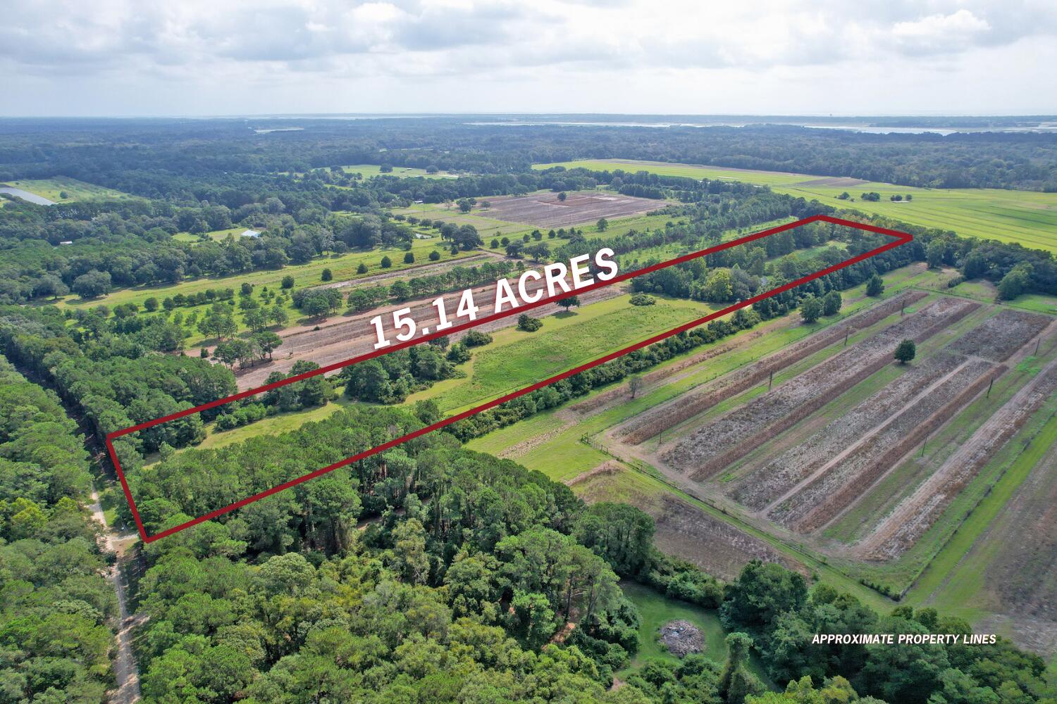 Aerial view of a wooded 15.14-acre property outlined beside cultivated fields.