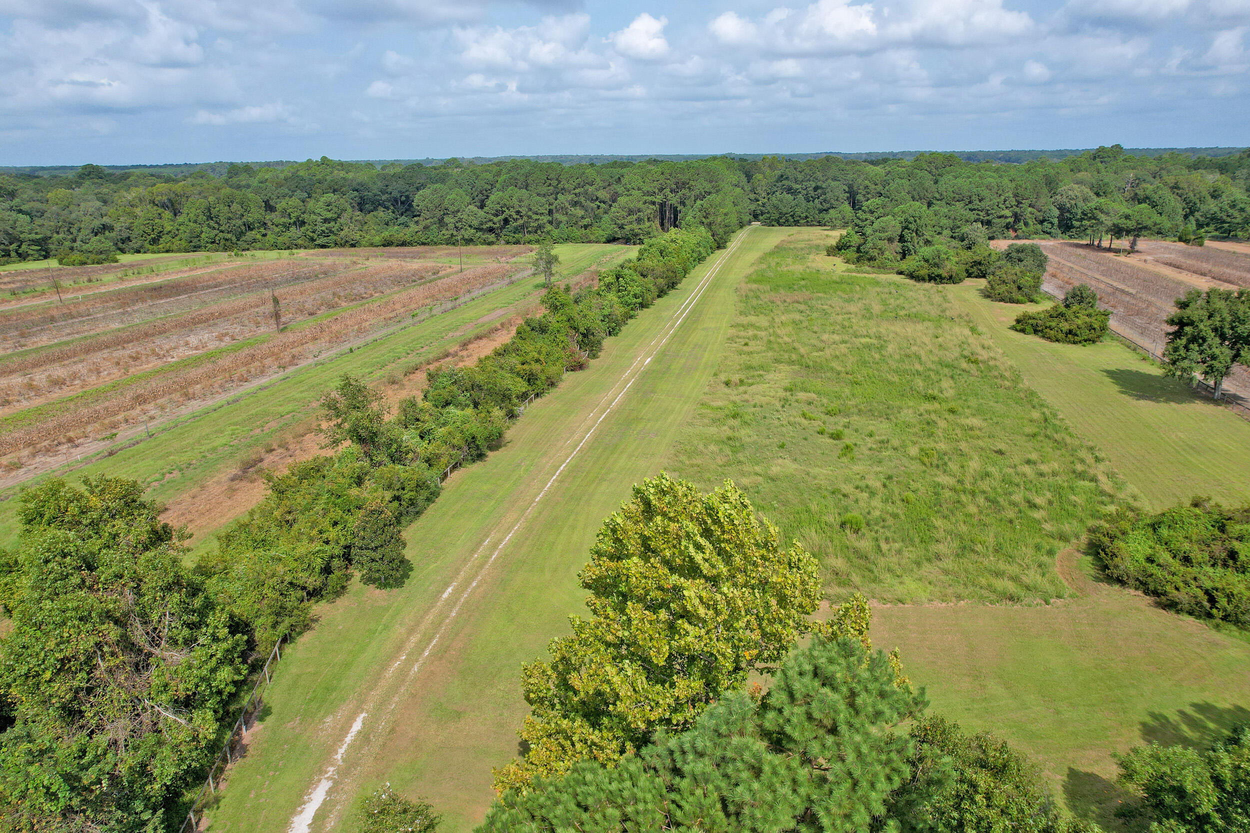 Aerial view of rural land with a long grassy drive between open fields and woodland.