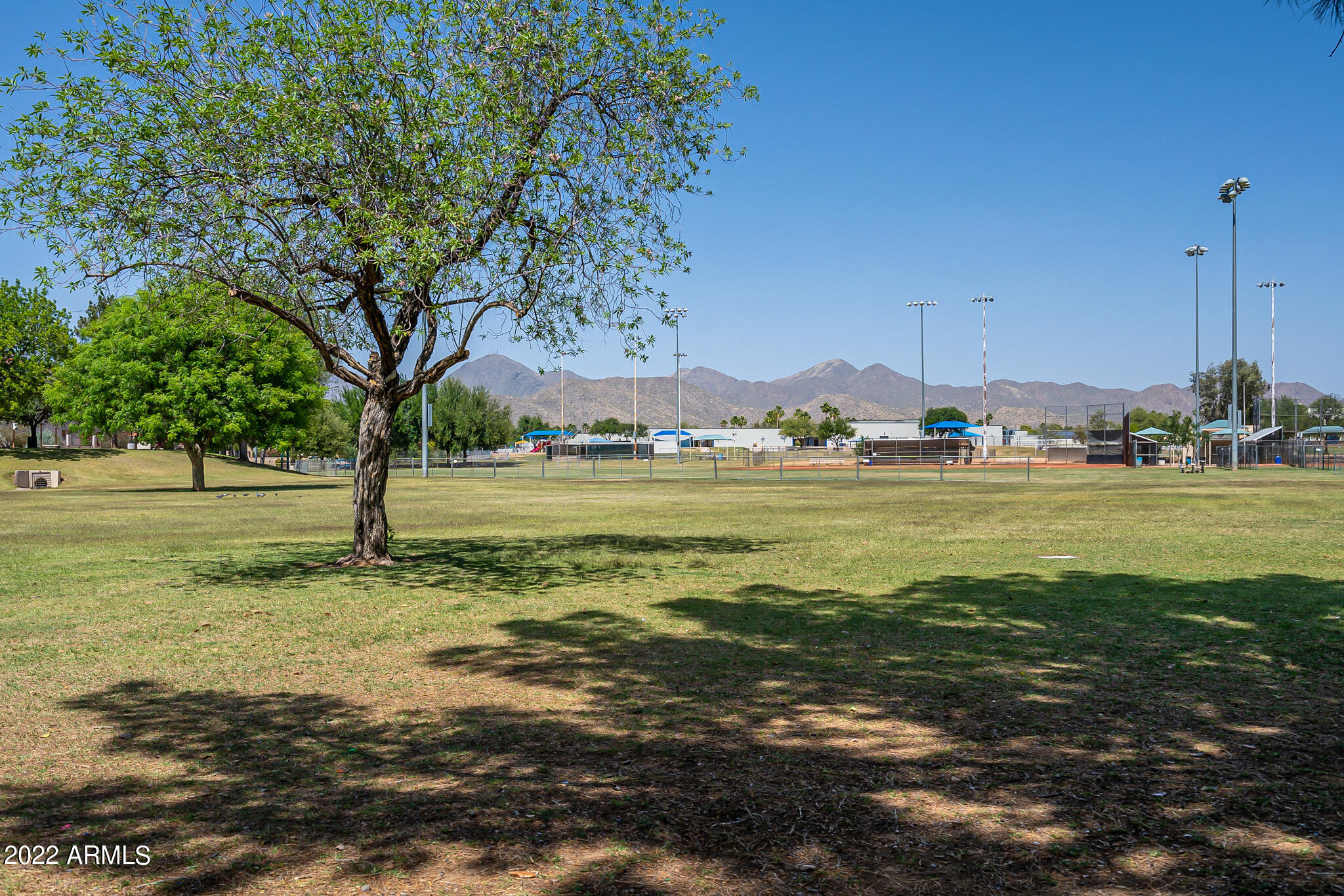 10196 E COCHISE Drive