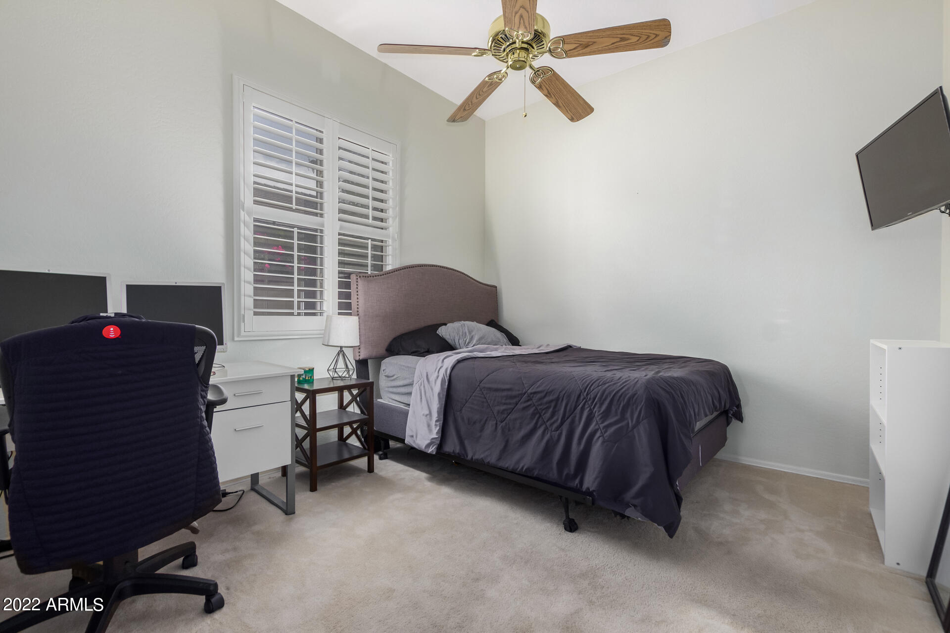 22488 N MULLIGAN Drive