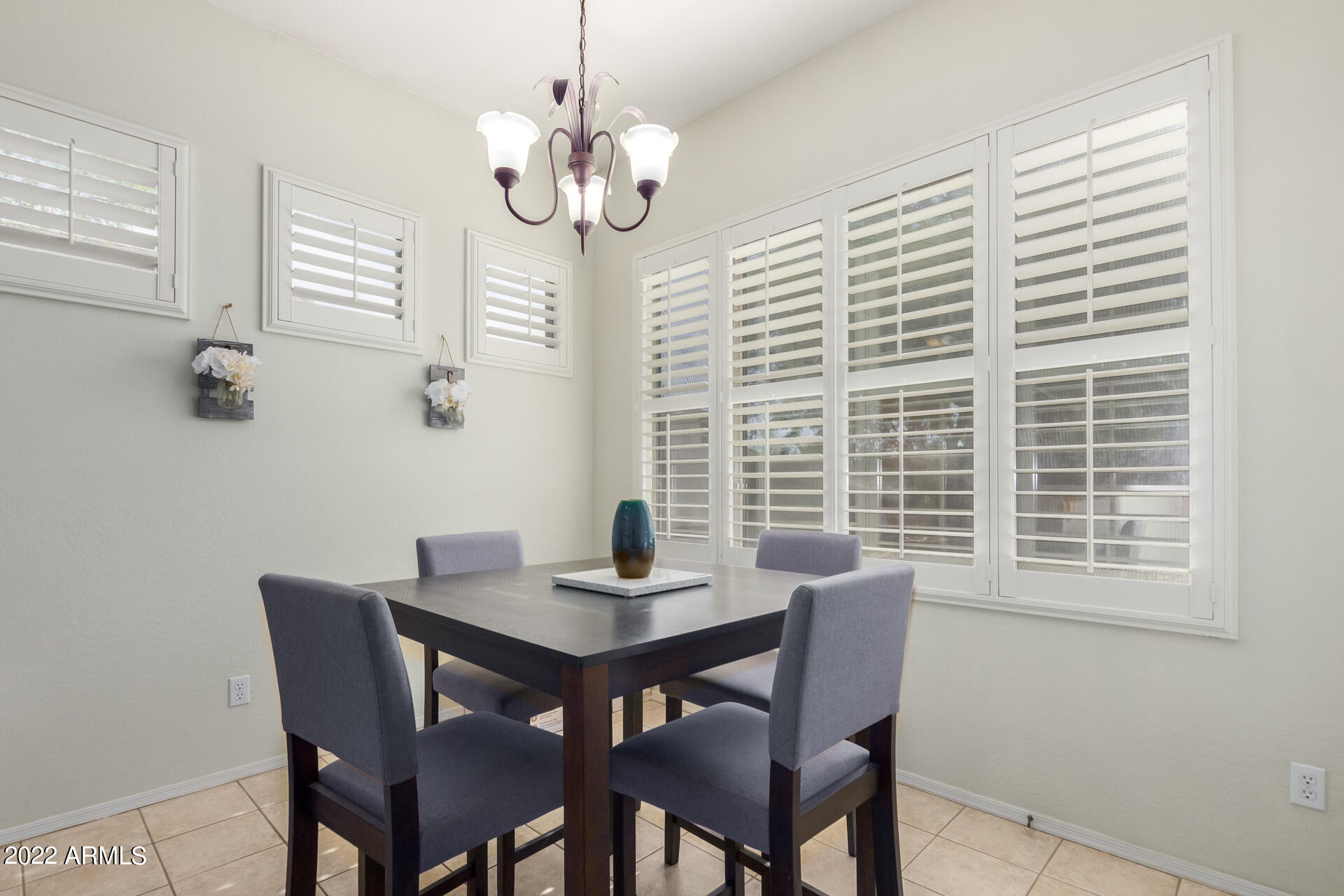 22488 N MULLIGAN Drive