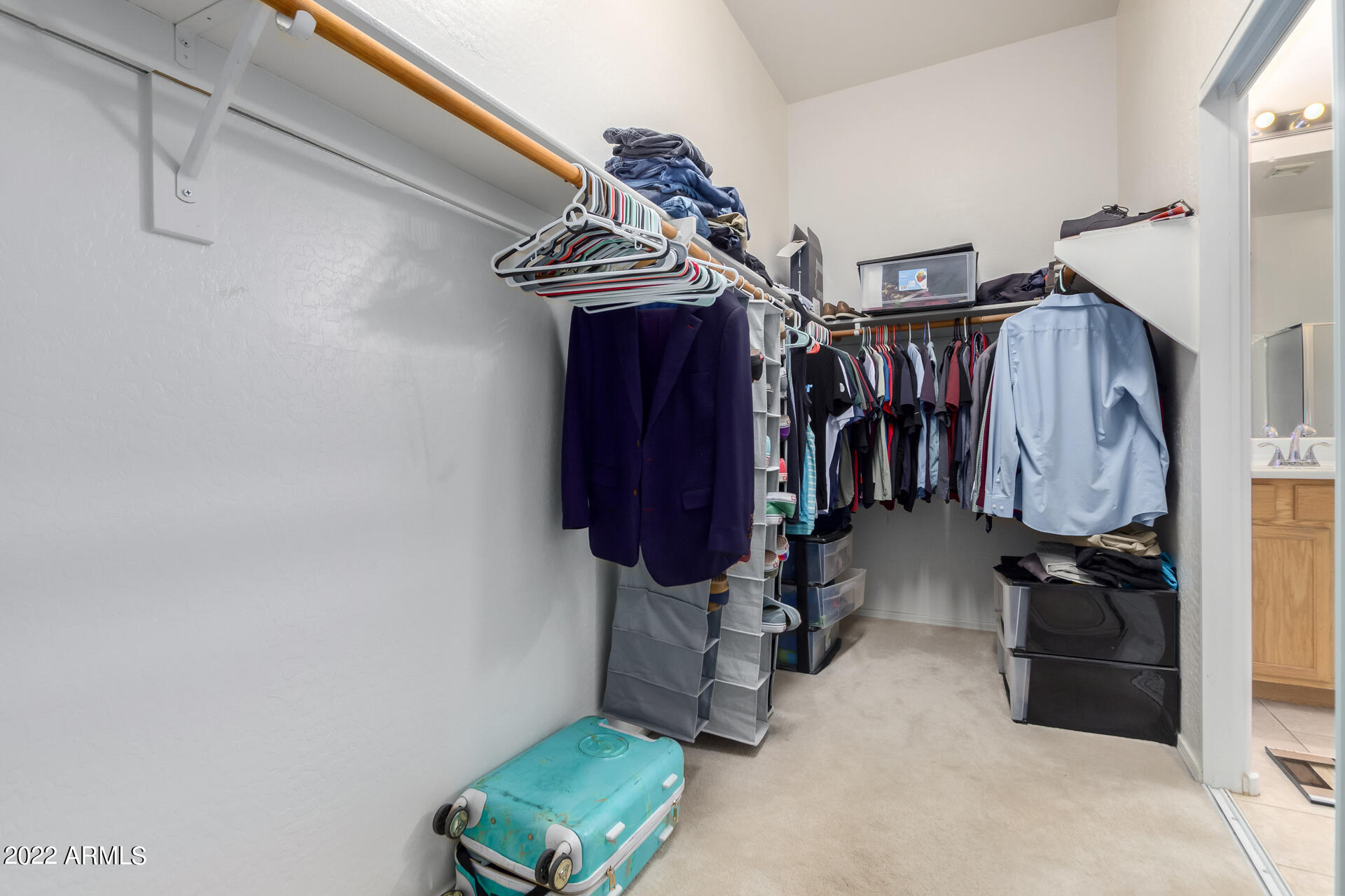 22488 N MULLIGAN Drive