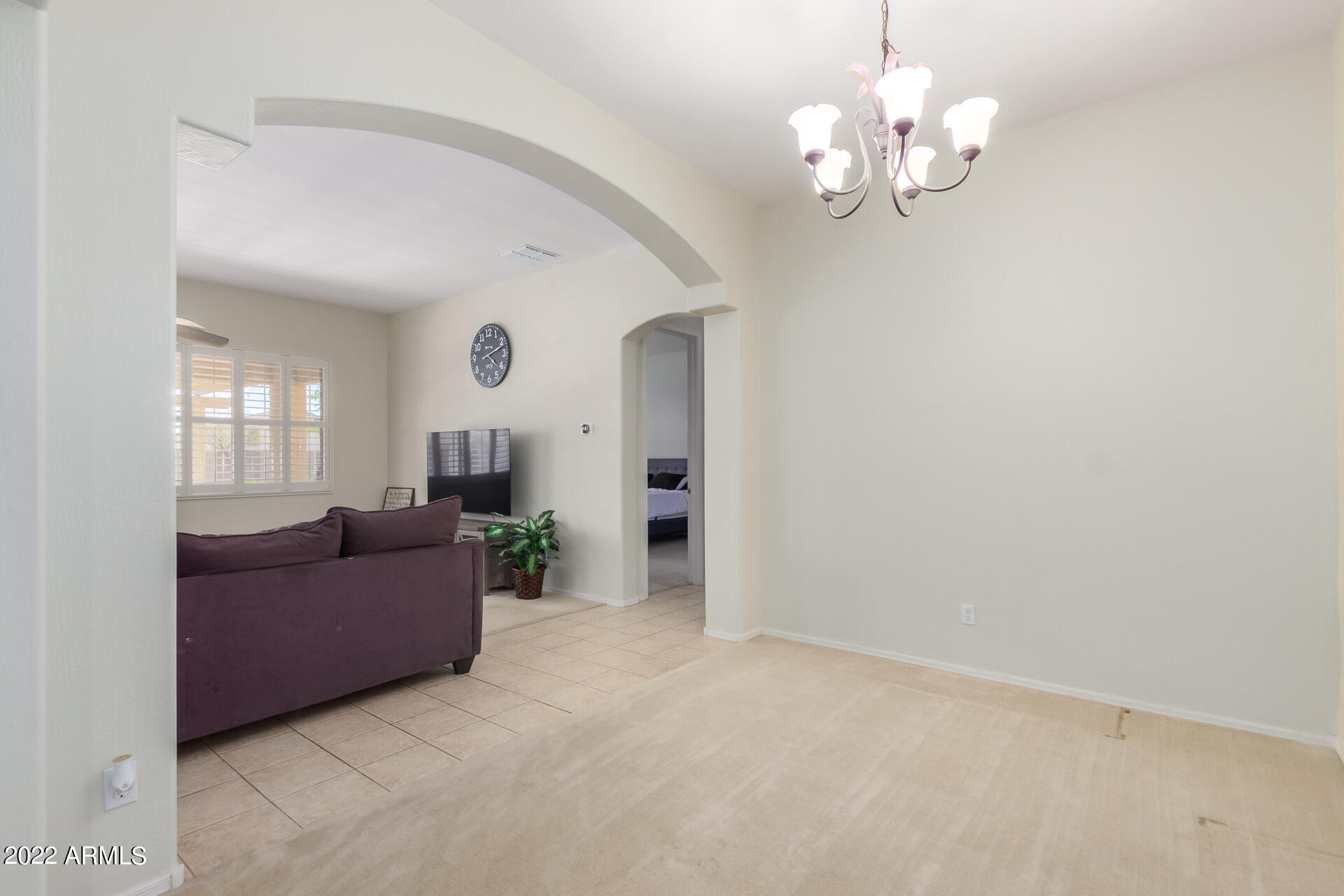 22488 N MULLIGAN Drive