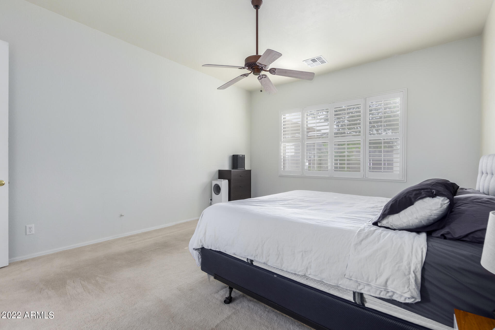 22488 N MULLIGAN Drive