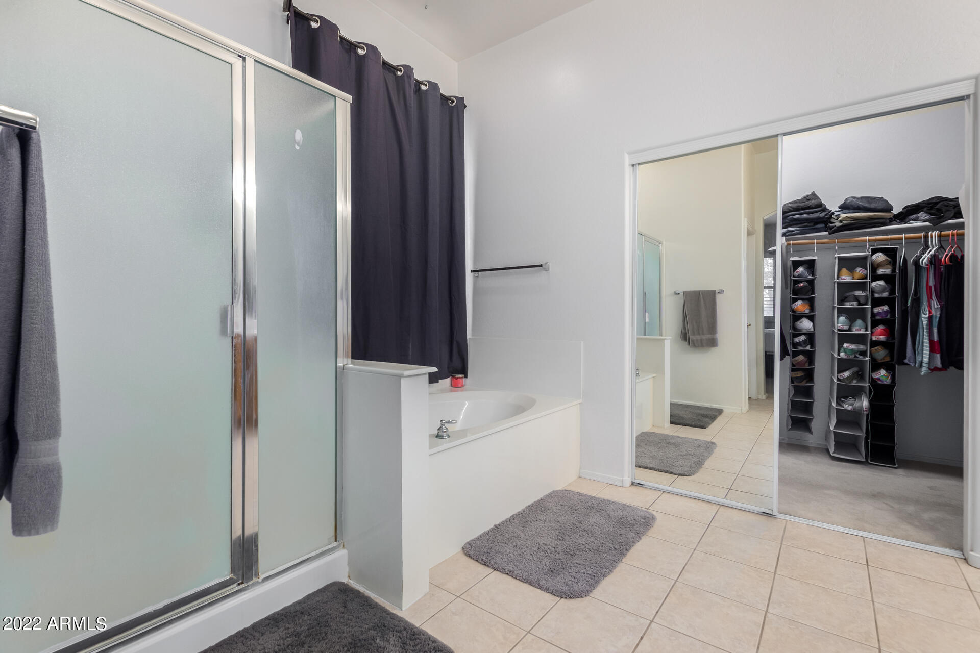 22488 N MULLIGAN Drive