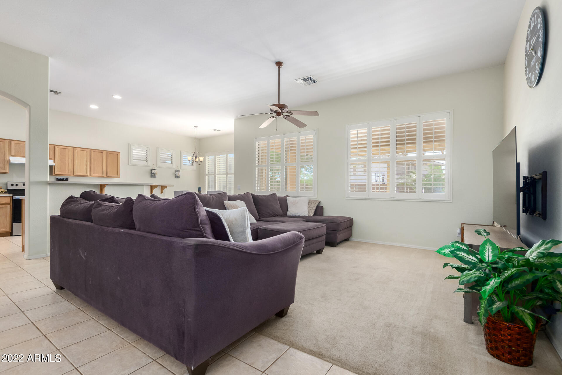 22488 N MULLIGAN Drive