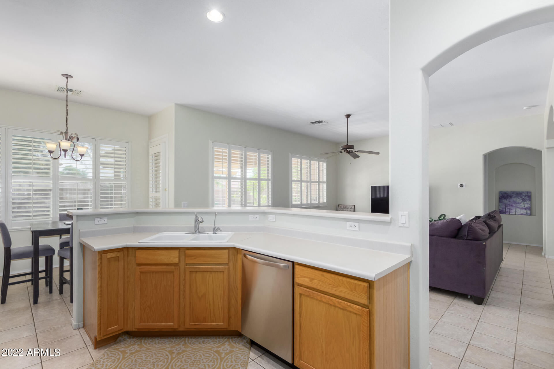 22488 N MULLIGAN Drive