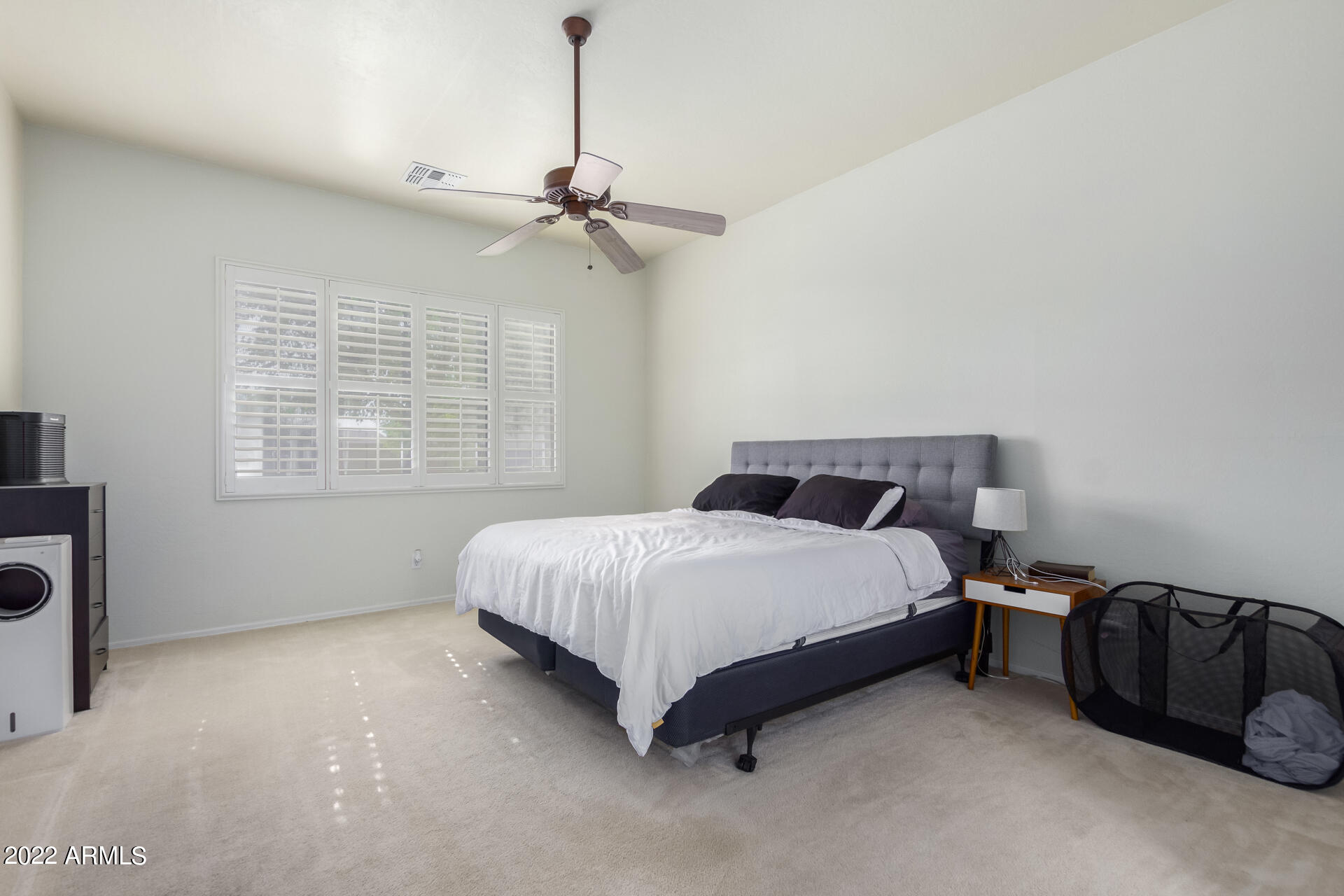 22488 N MULLIGAN Drive