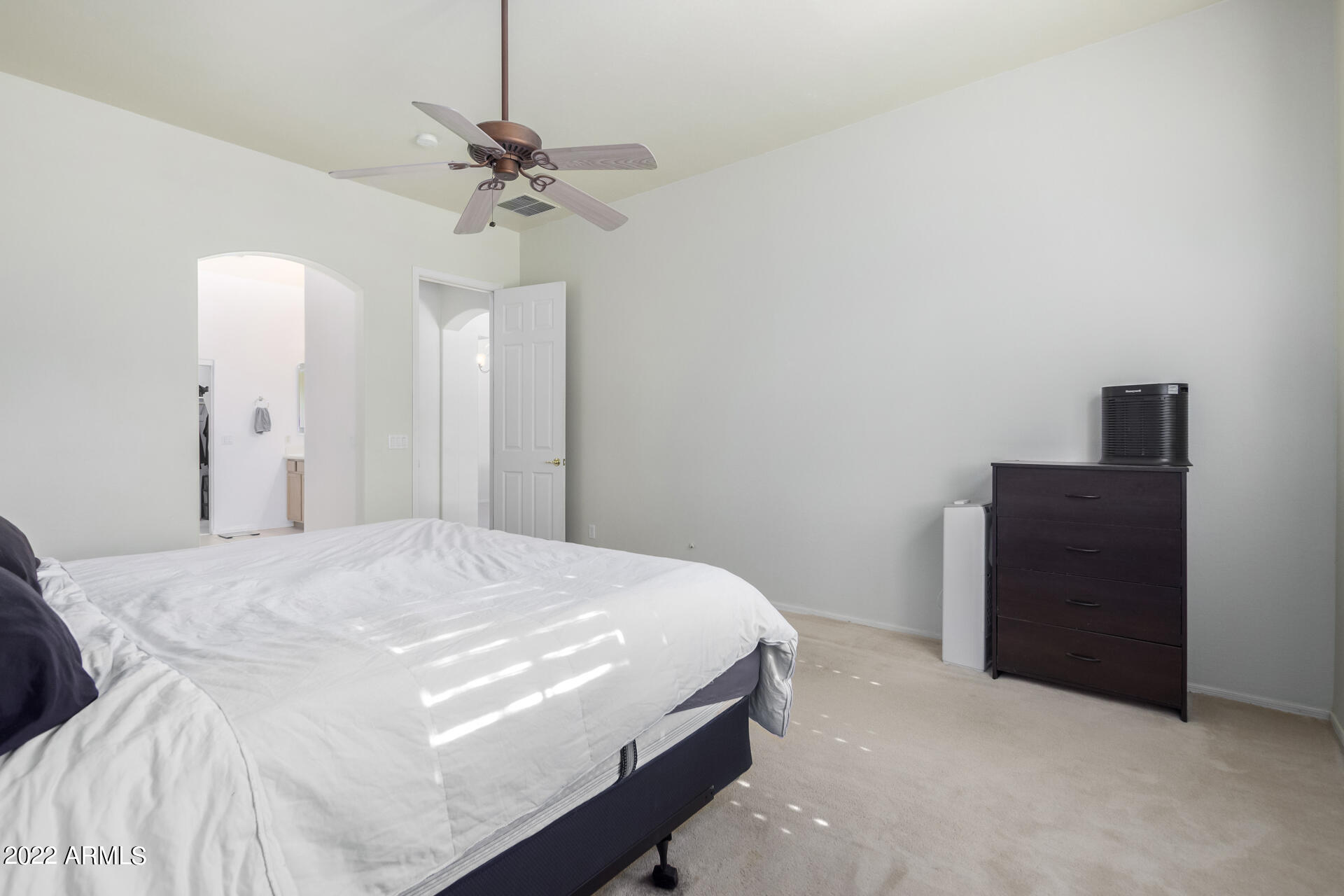 22488 N MULLIGAN Drive