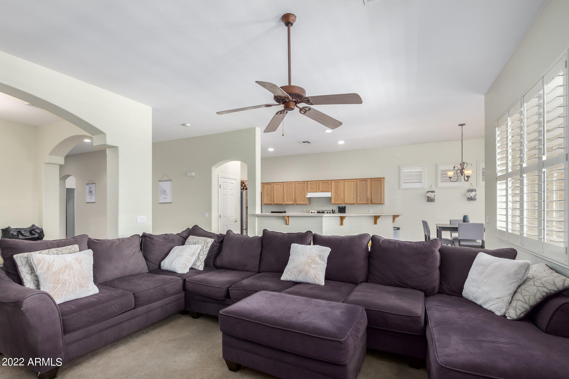 22488 N MULLIGAN Drive