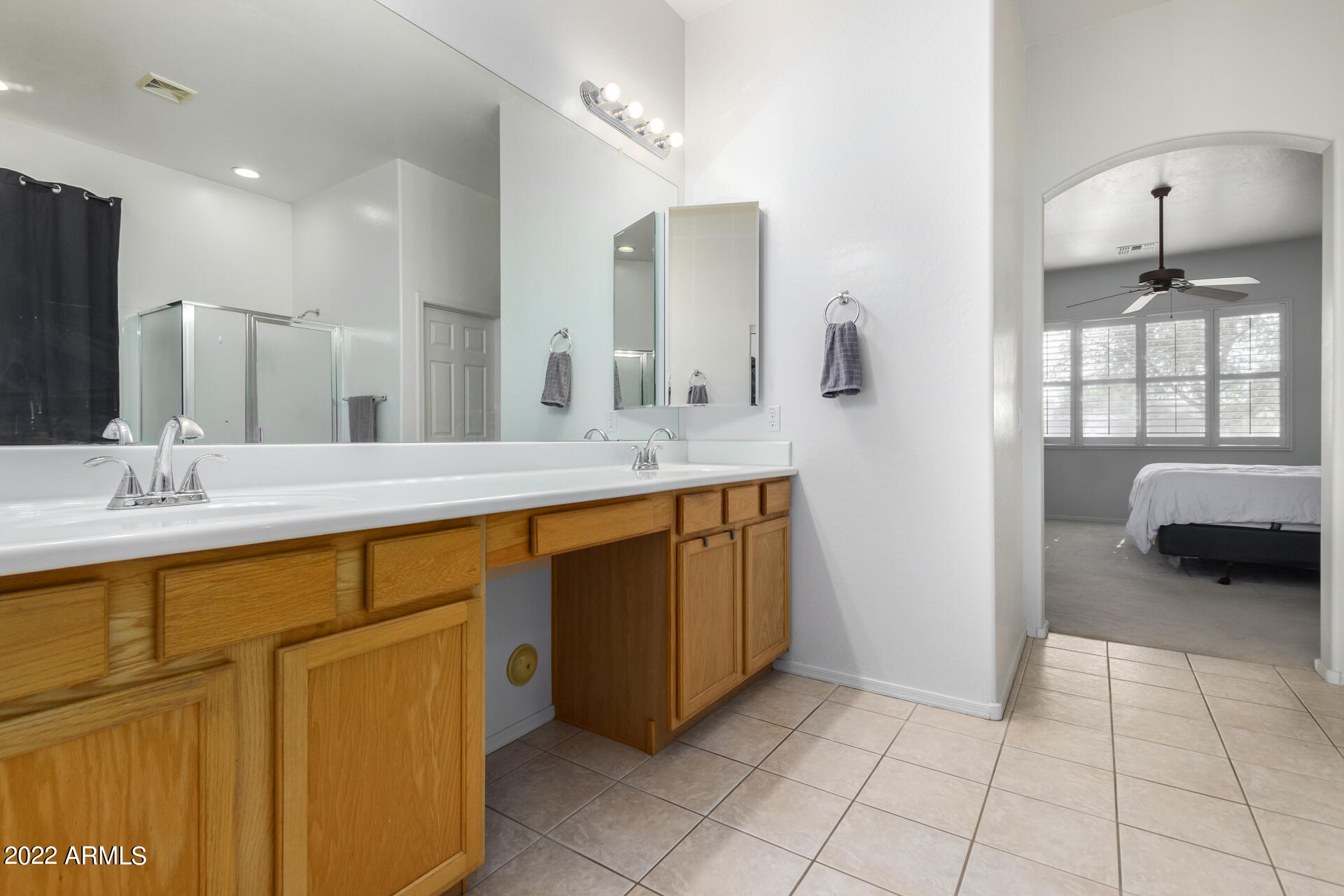 22488 N MULLIGAN Drive