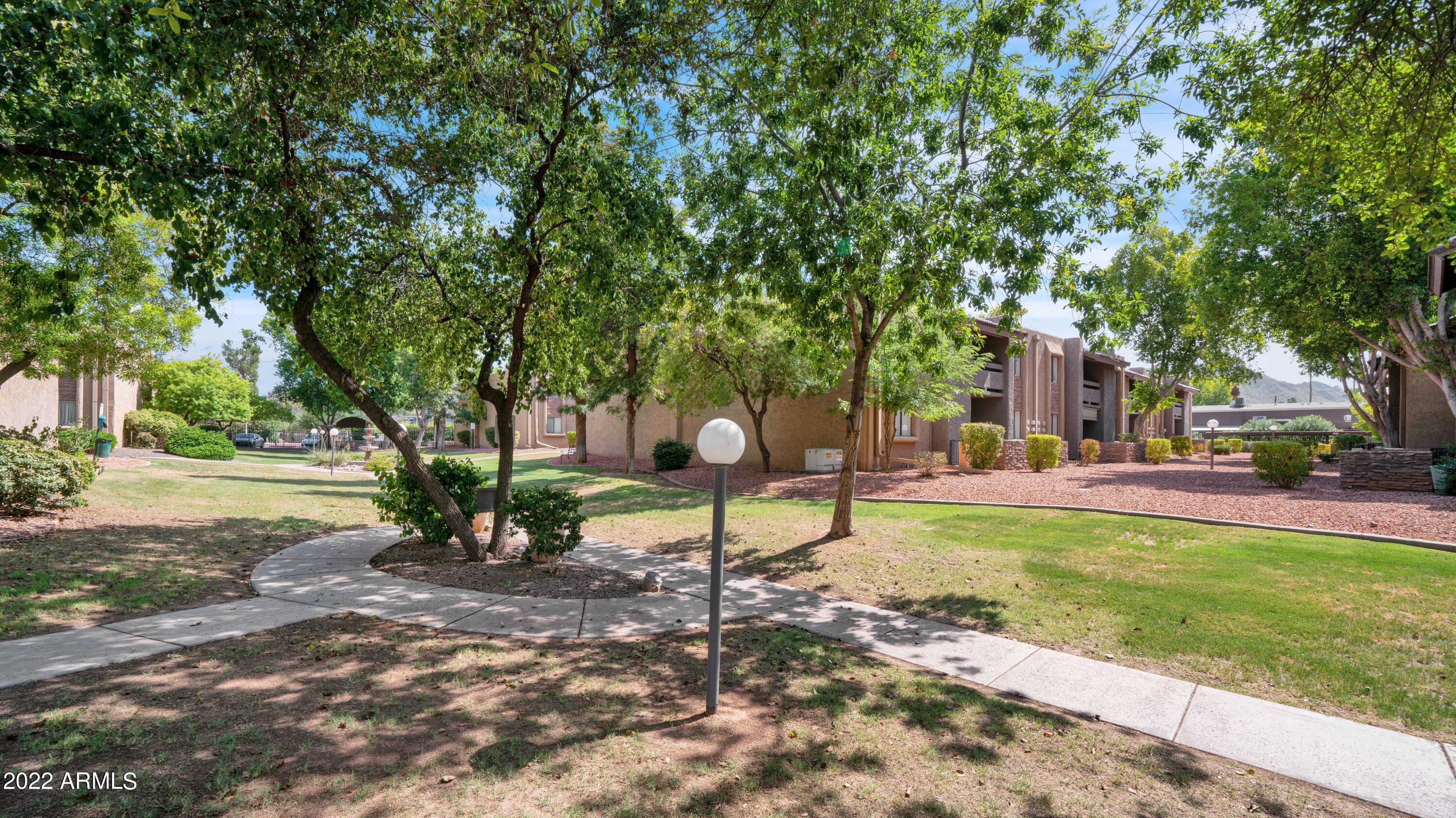 3825 E CAMELBACK Road # 176