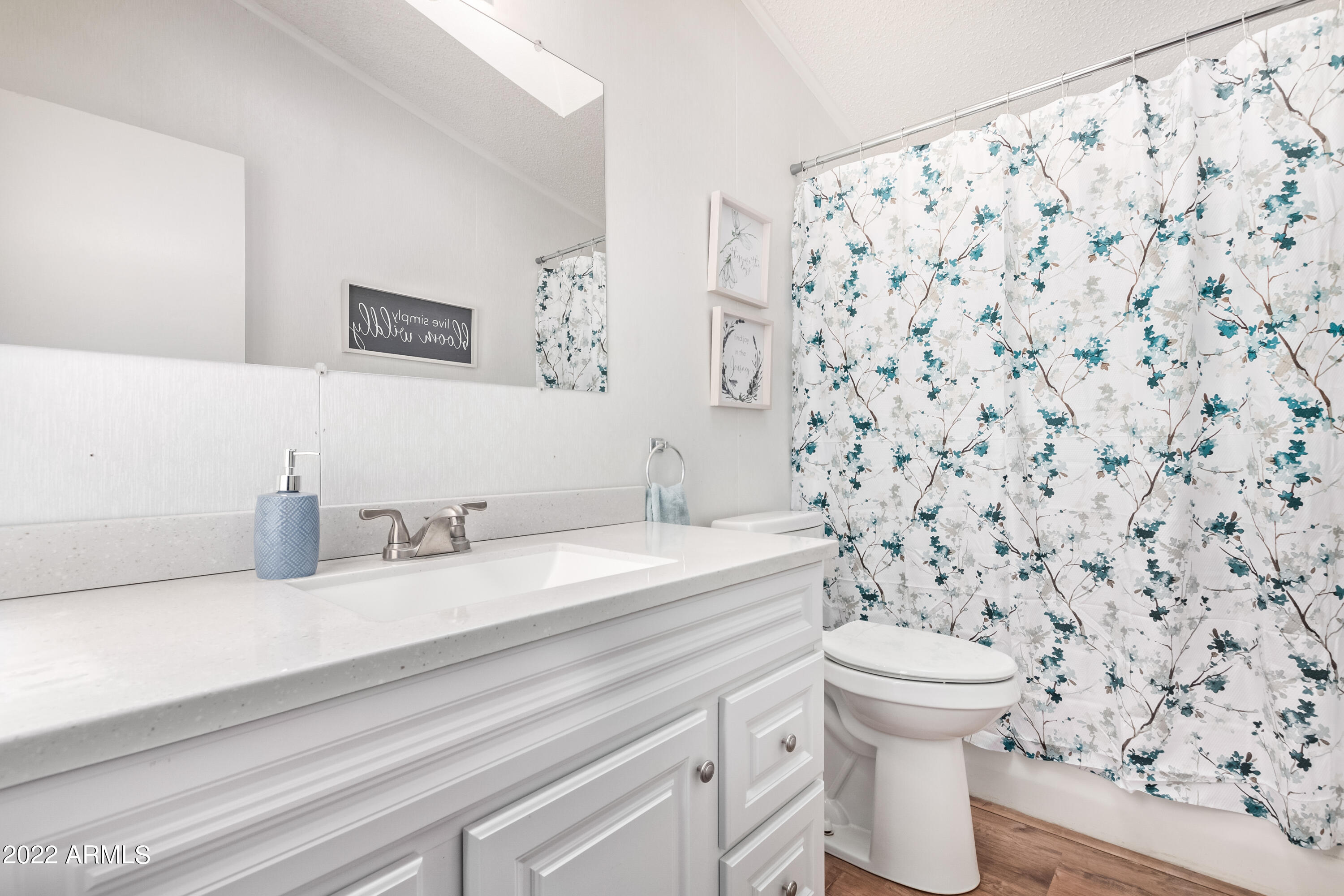 23237 W STAGHORN Lane