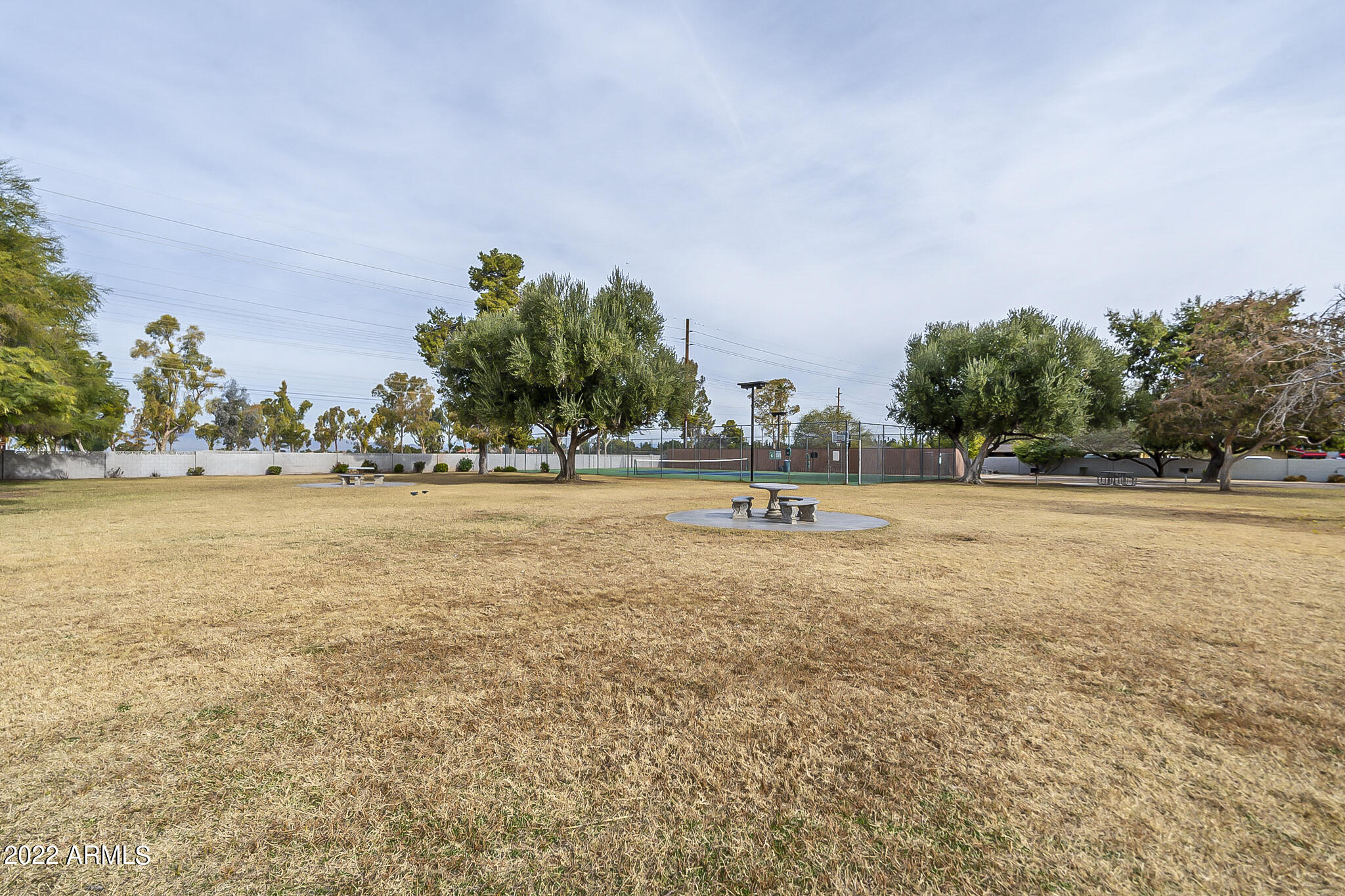 424 W BROWN Road # 142