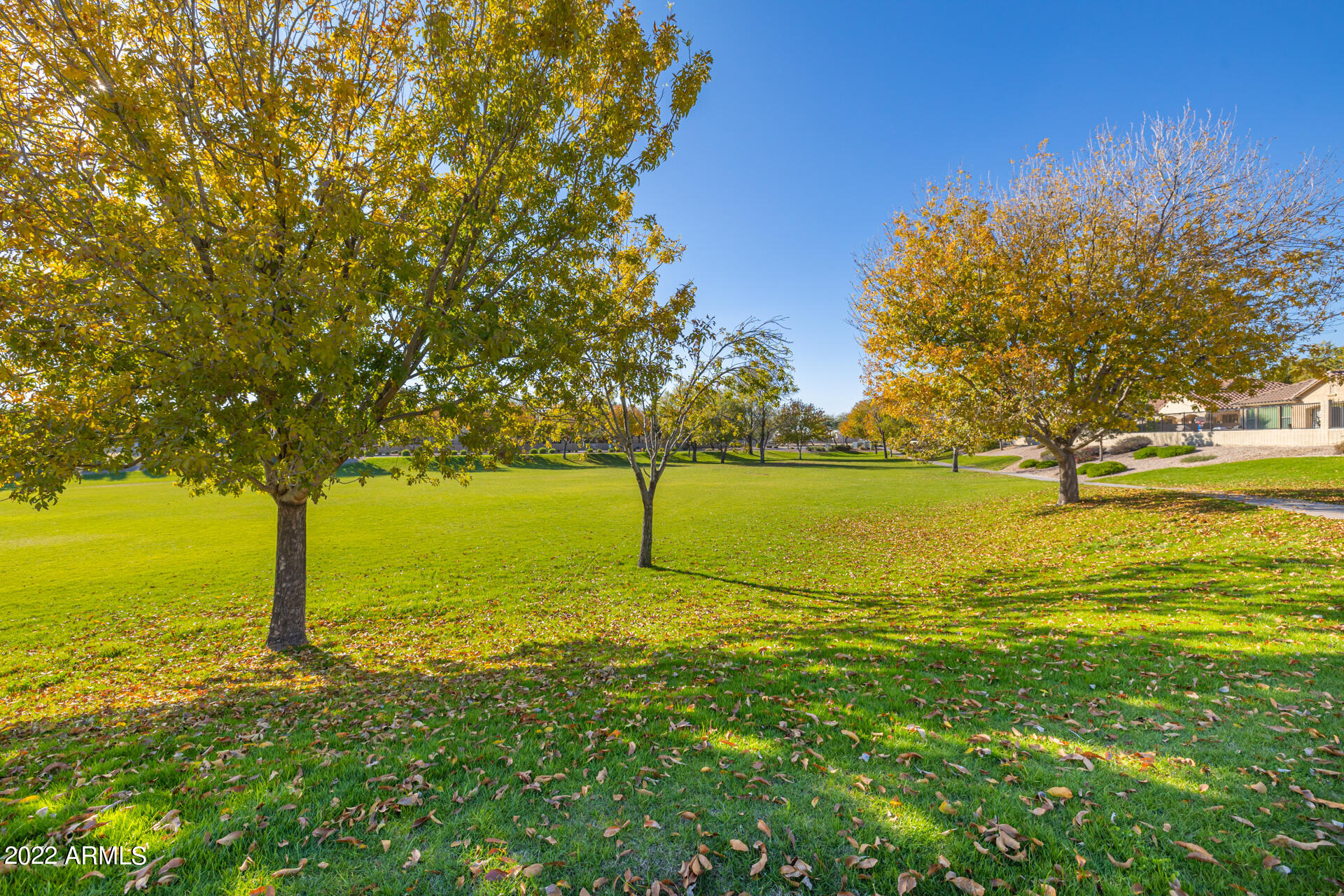 21453 E ROUNDUP Way
