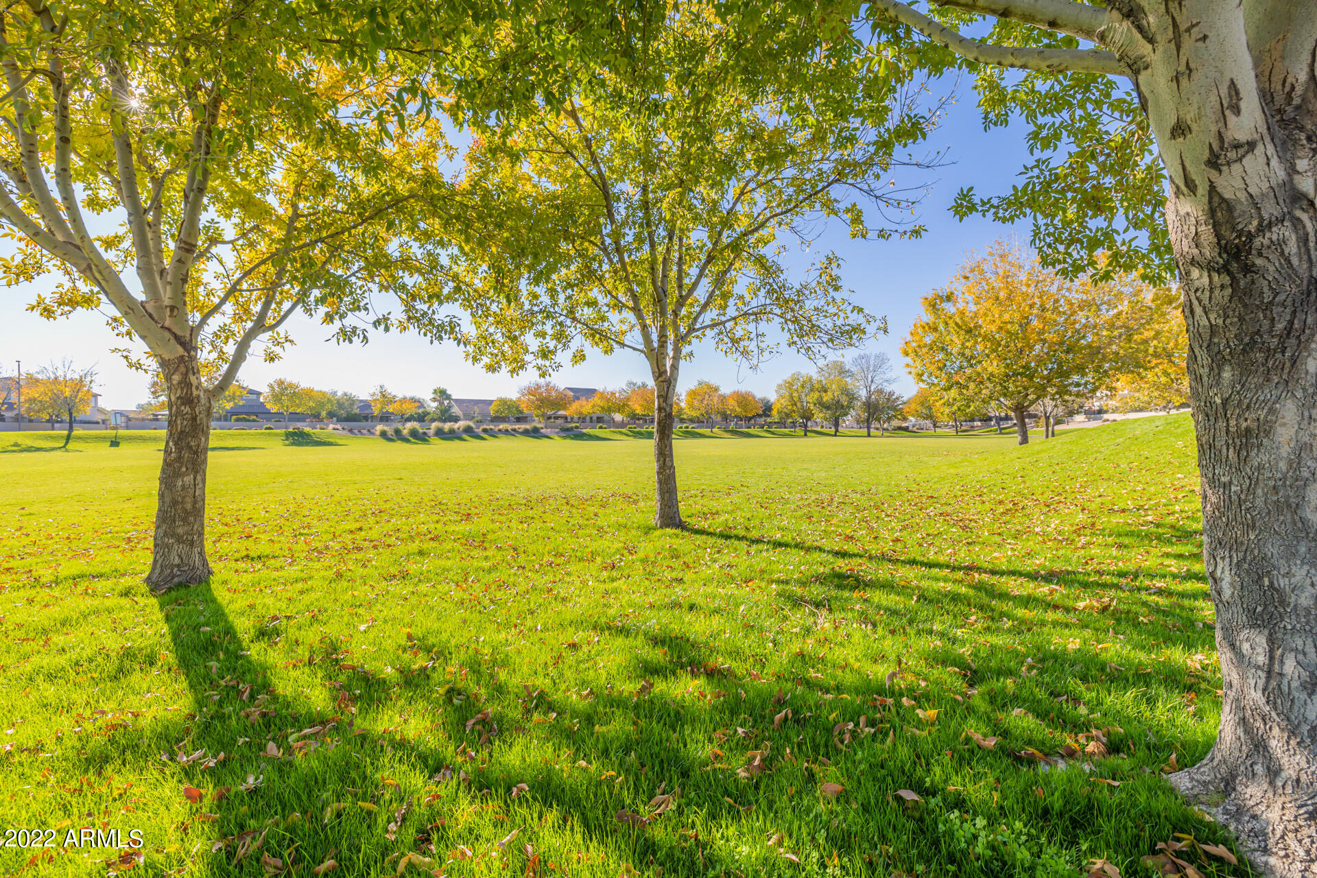 21453 E ROUNDUP Way