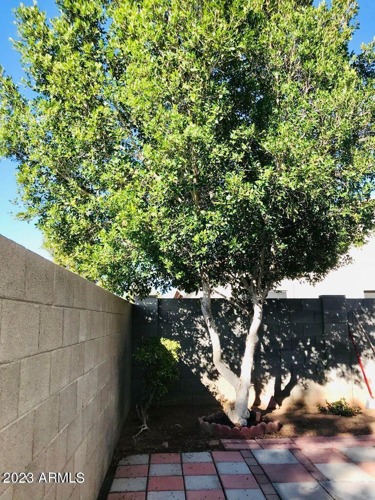 1804 E DUNBAR Drive