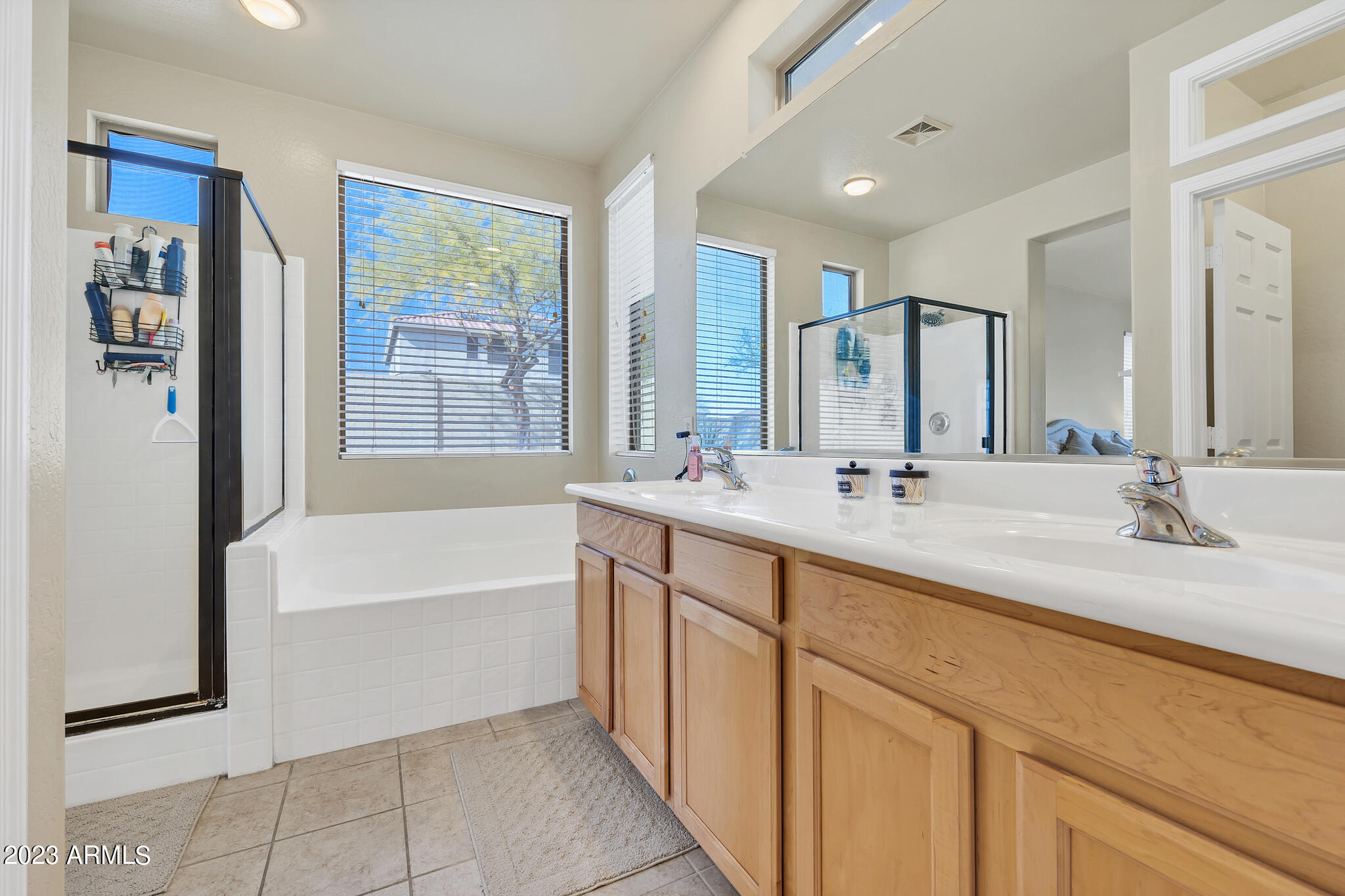 42930 N VOYAGE Trail