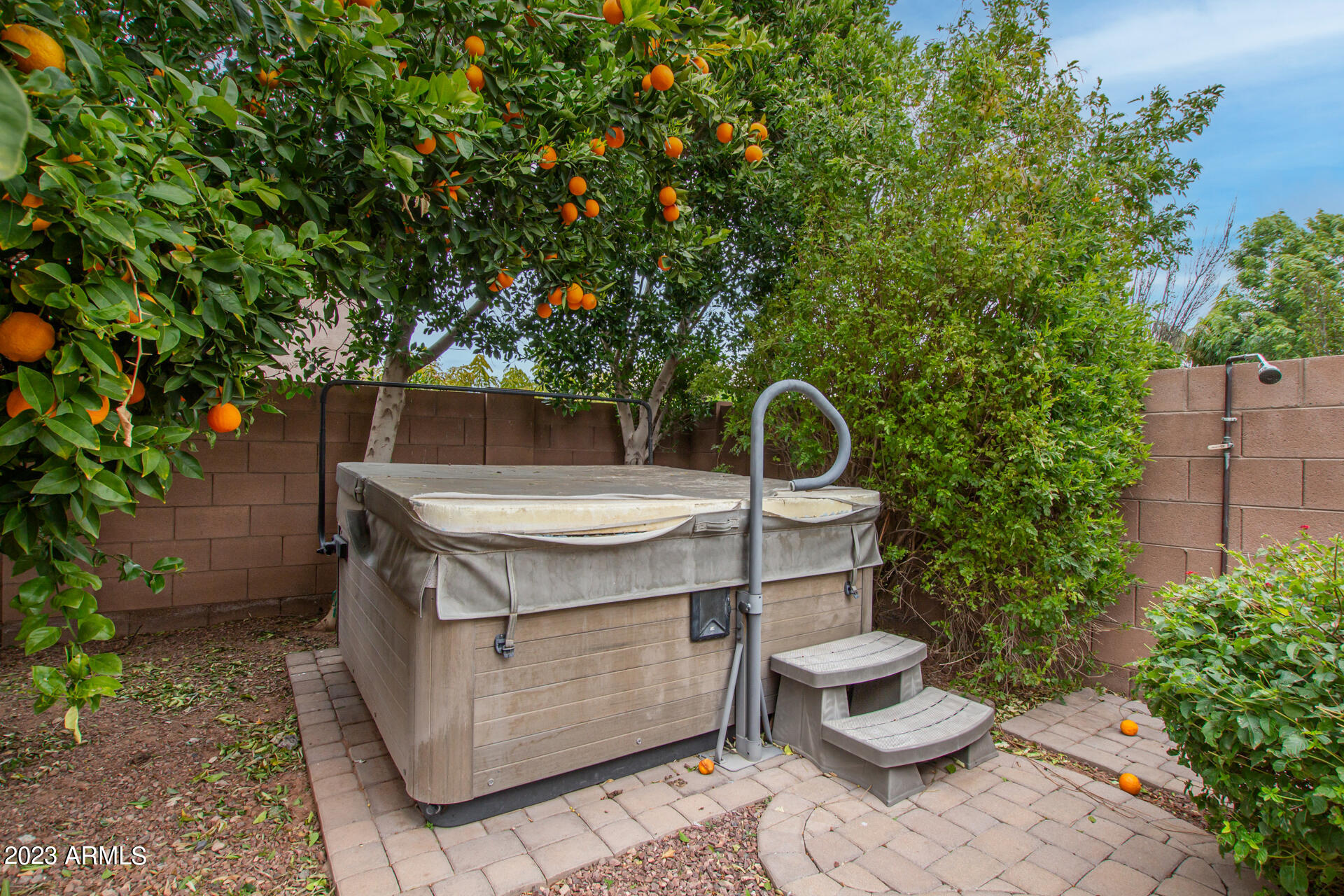 1098 E IBIS Street