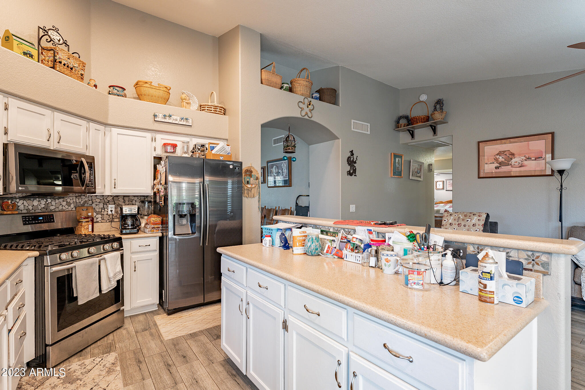 20819 N 109TH Drive
