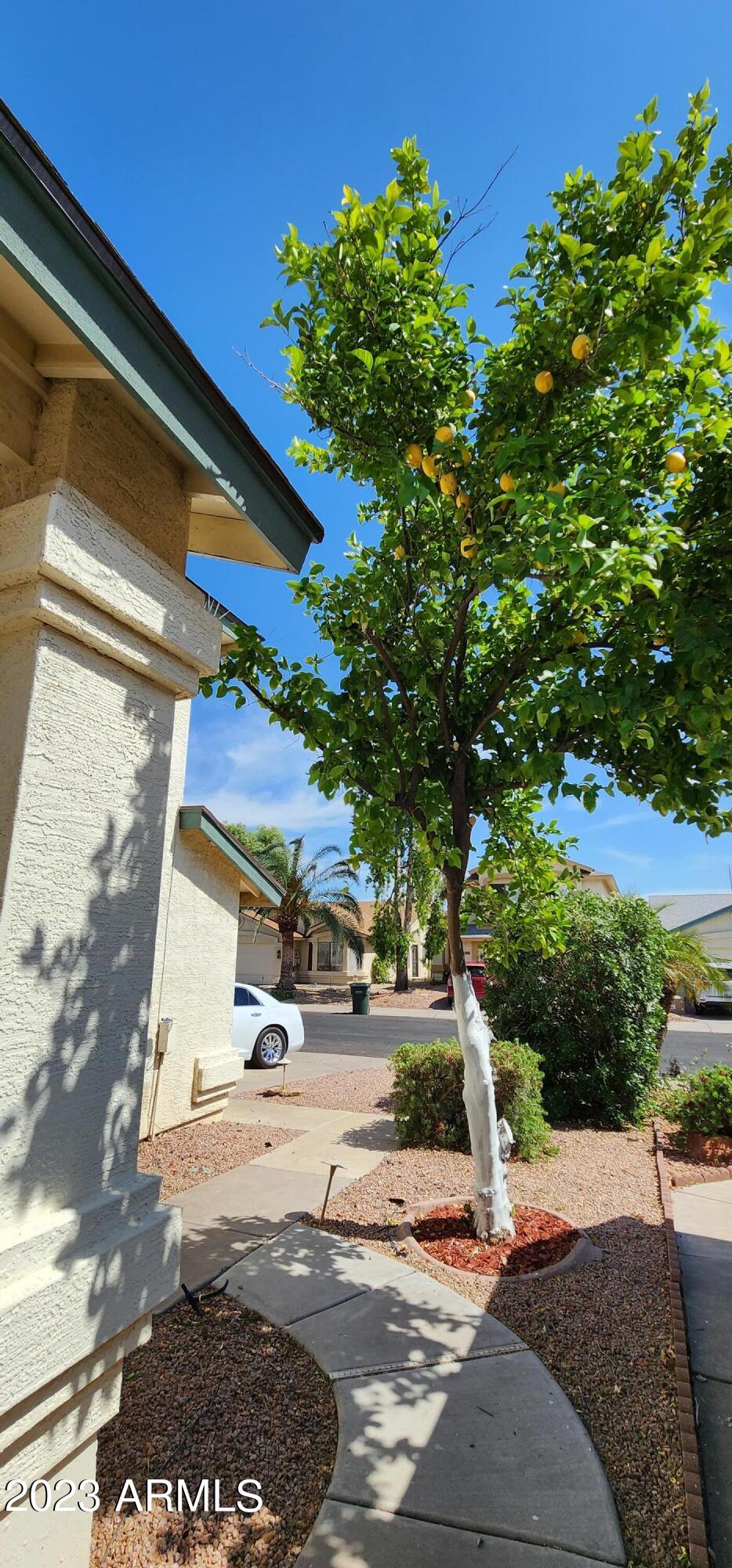 754 E ROSEMONTE Drive