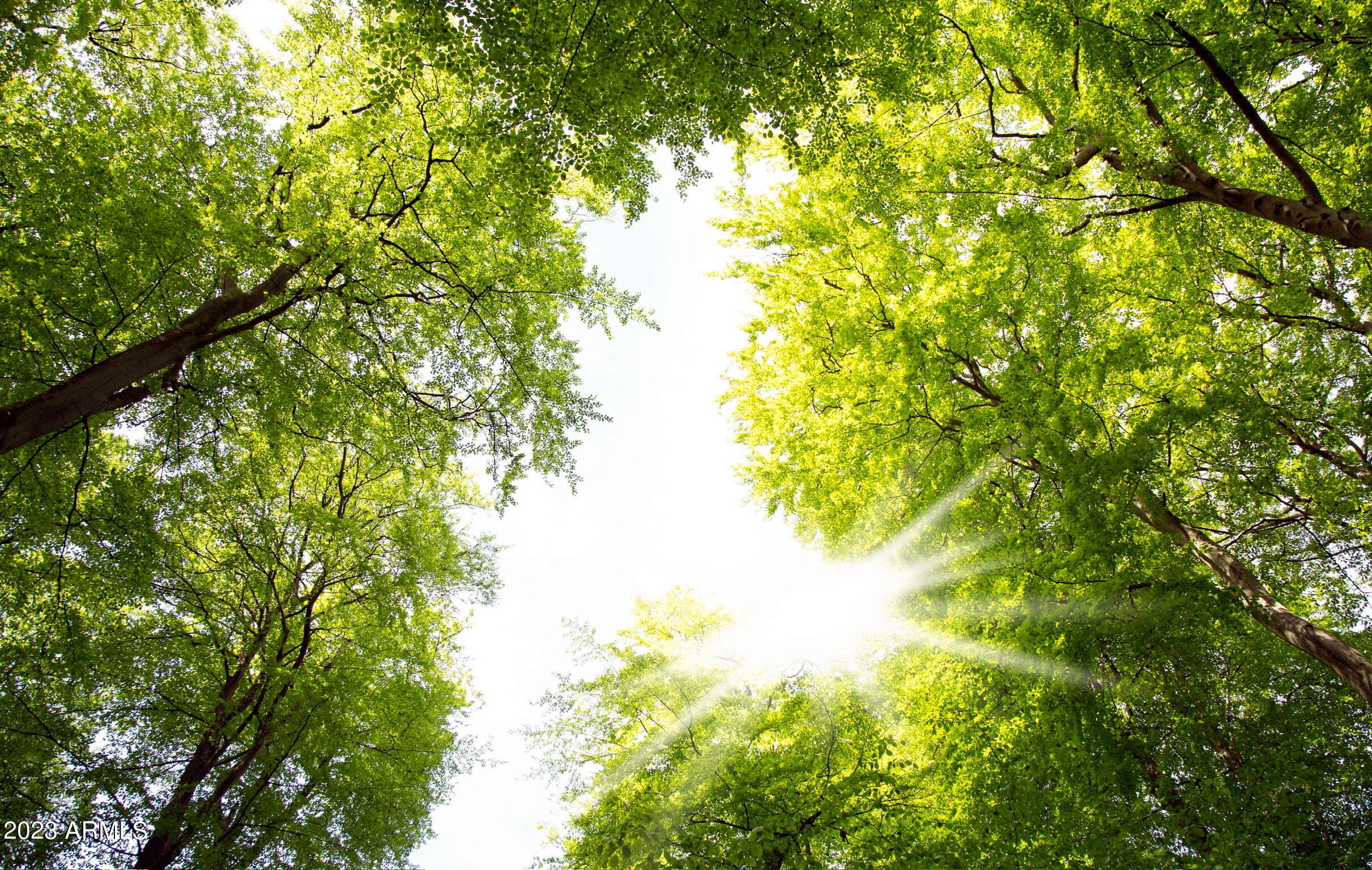 15367 W CORRINE Drive