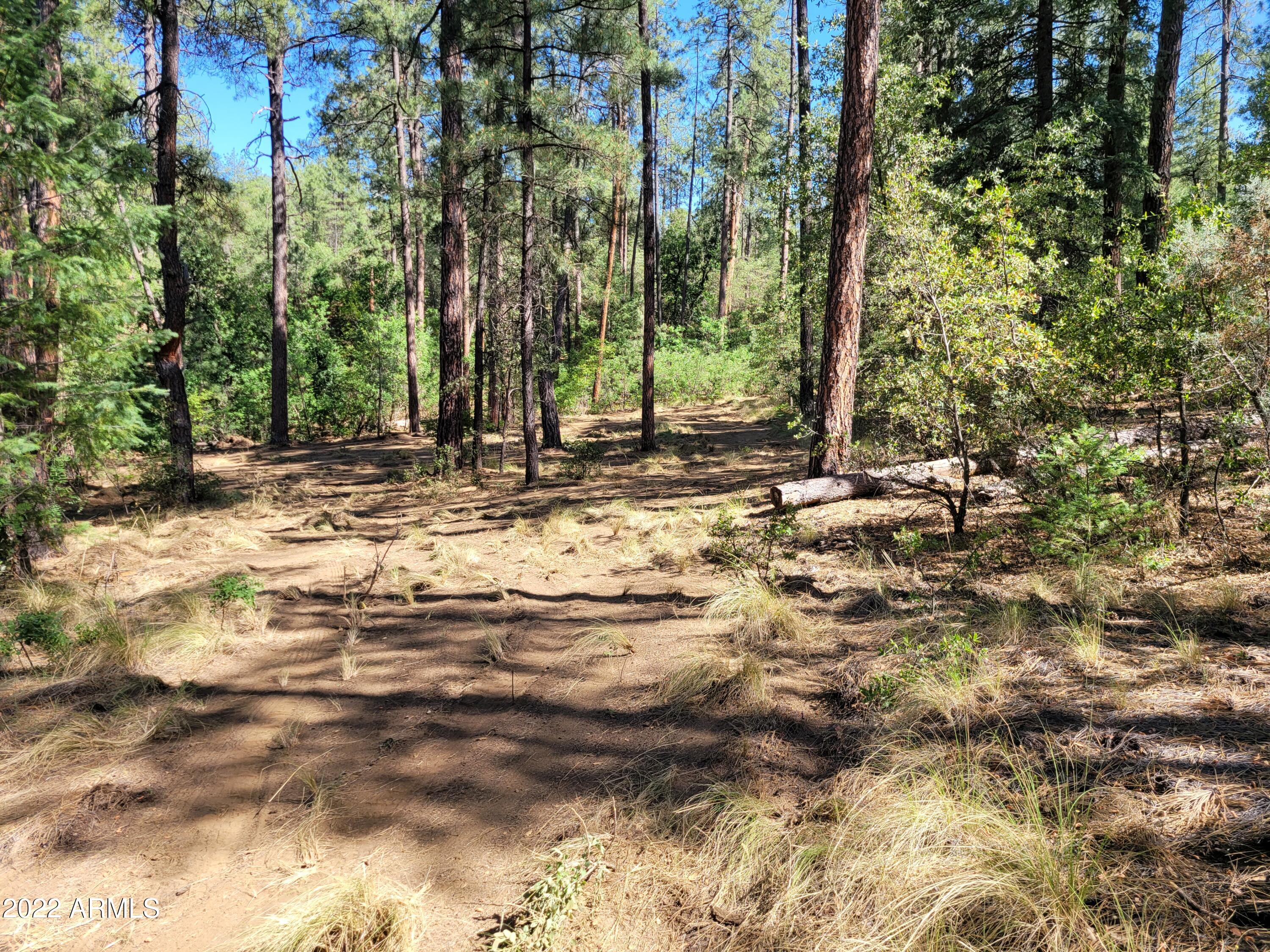 10 N Rose Creek Ranch Road # 10