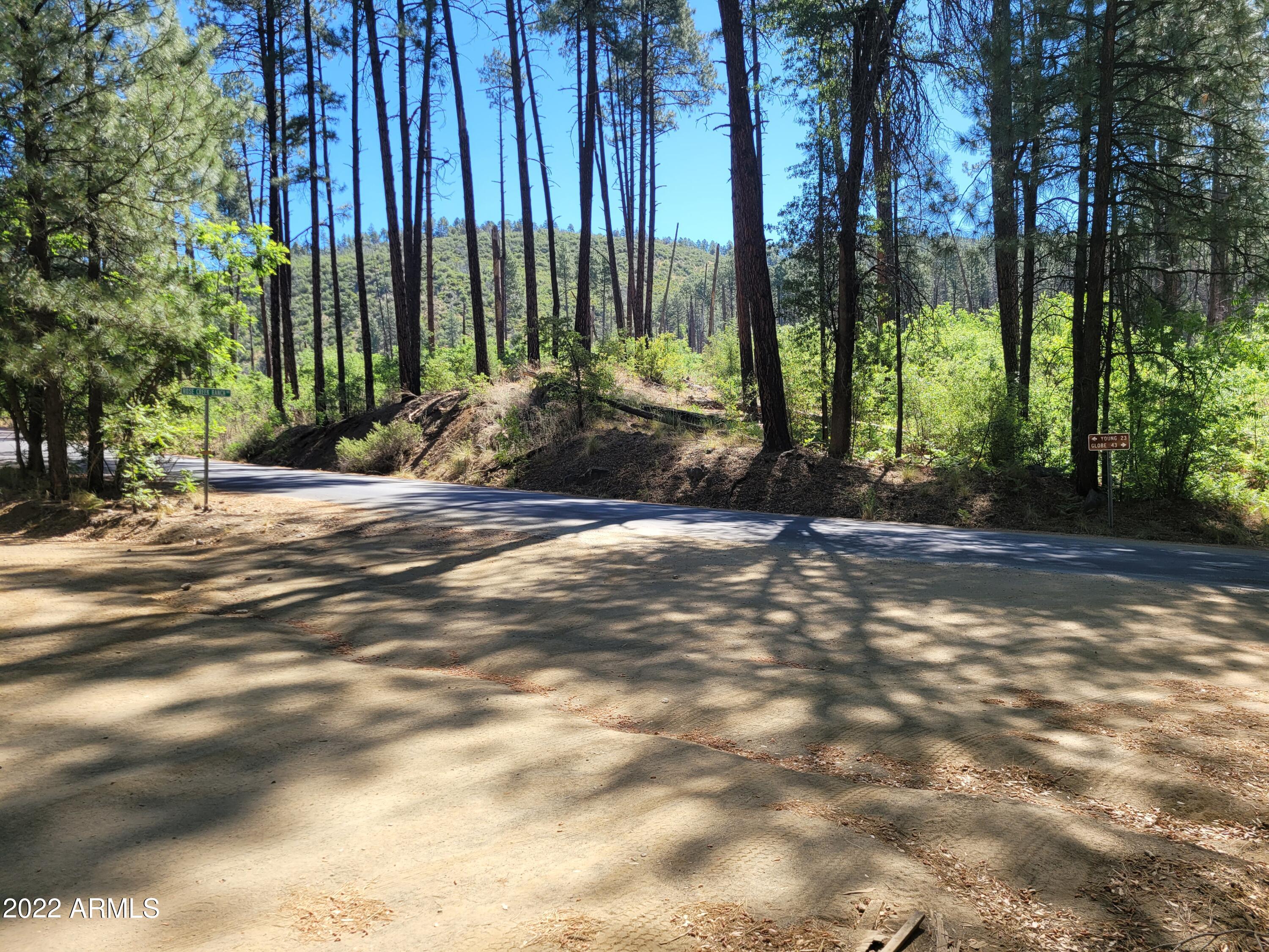 10 N Rose Creek Ranch Road # 10