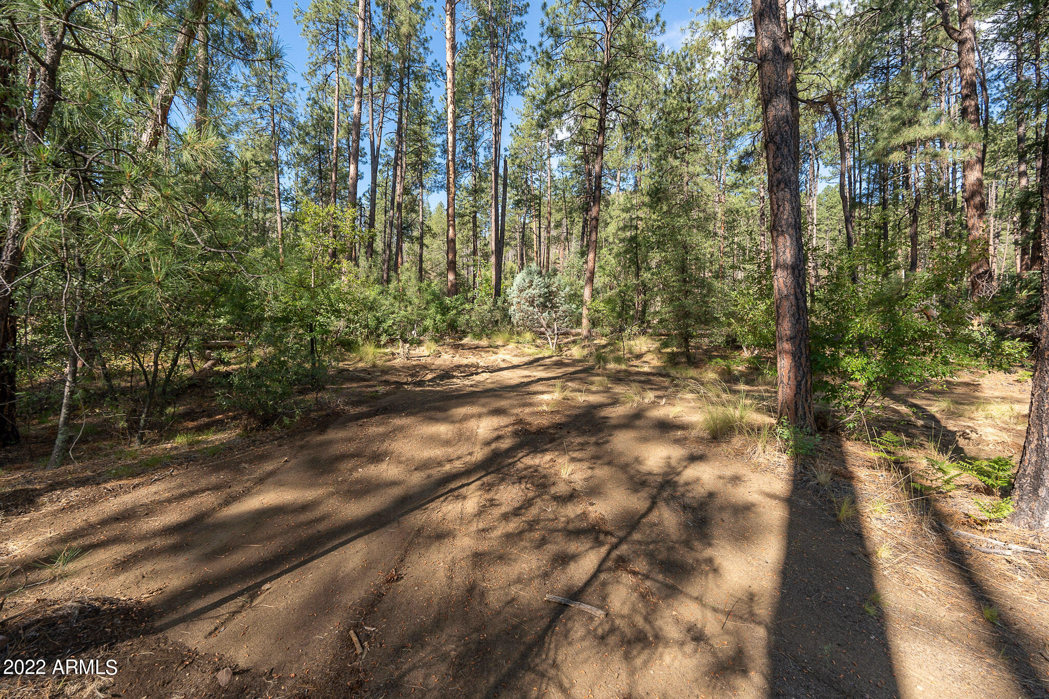 10 N Rose Creek Ranch Road # 10