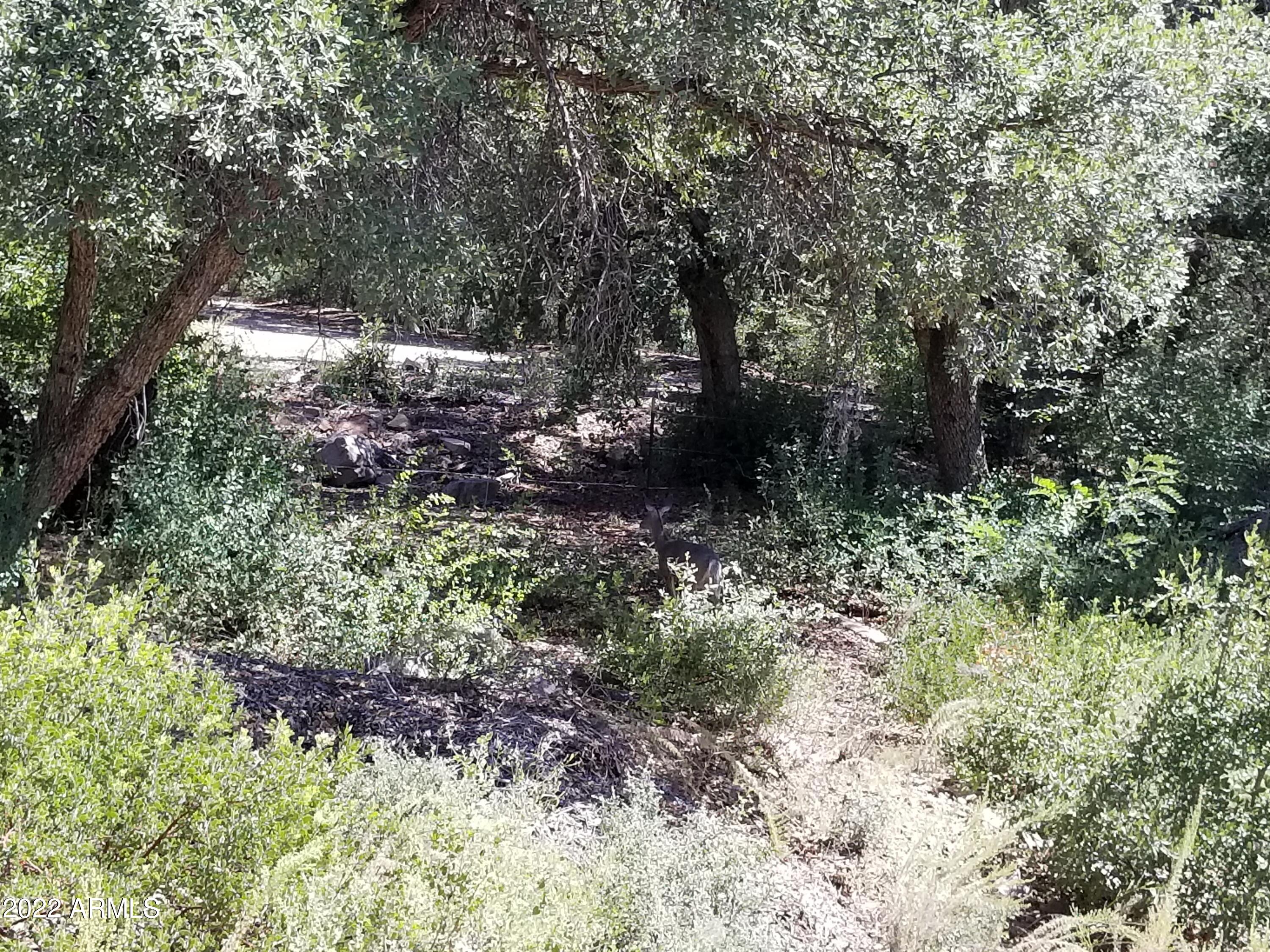 10 N Rose Creek Ranch Road # 10