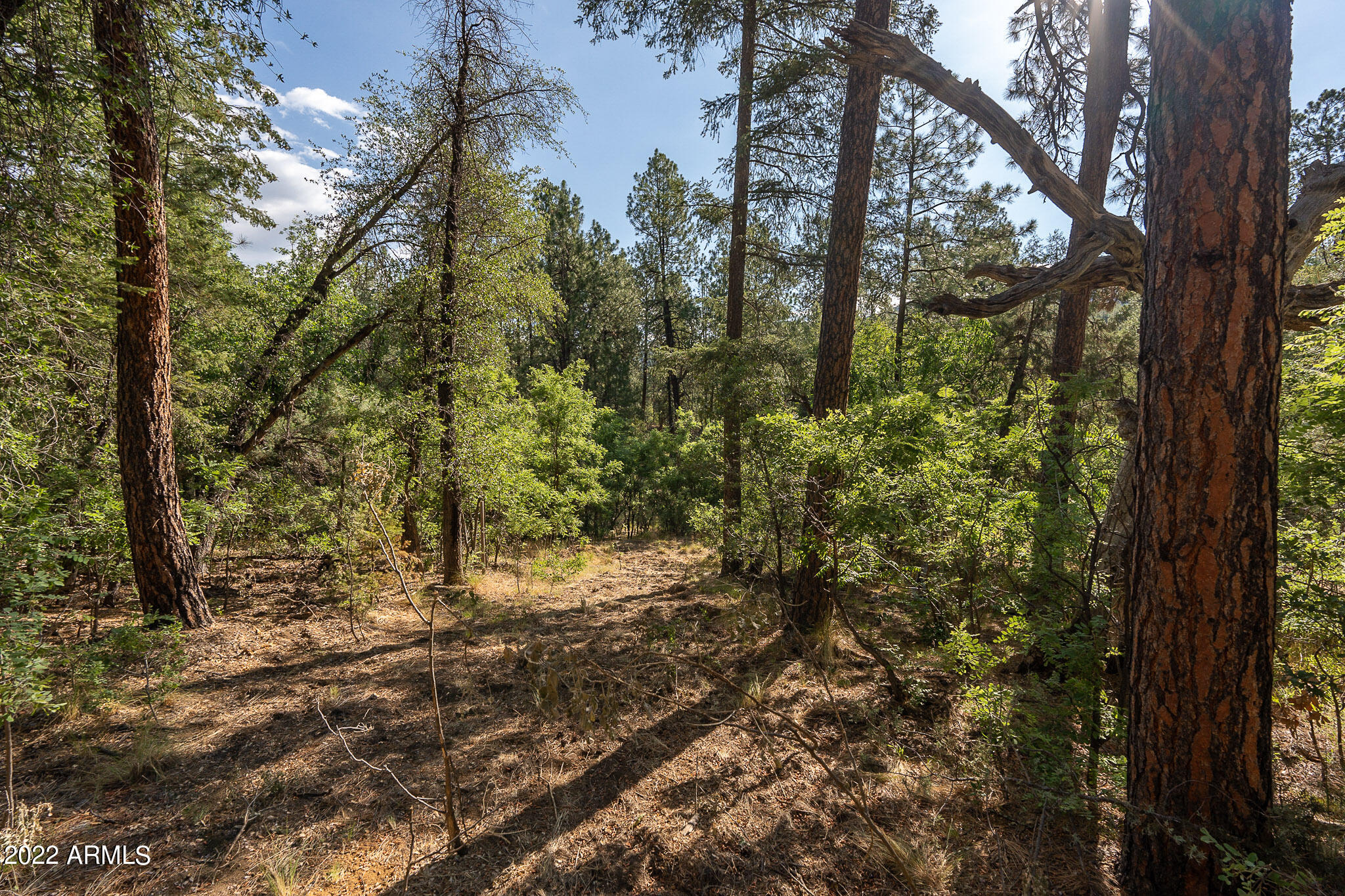 10 N Rose Creek Ranch Road # 10
