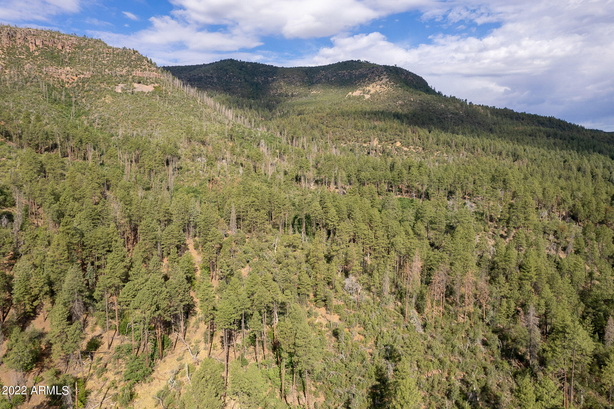 10 N Rose Creek Ranch Road # 10